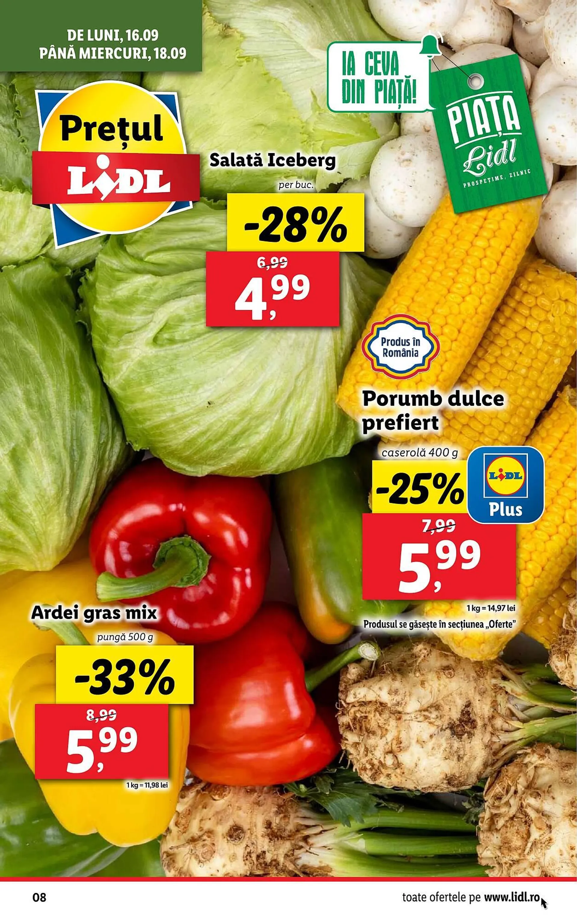 Catalog Lidl - 8