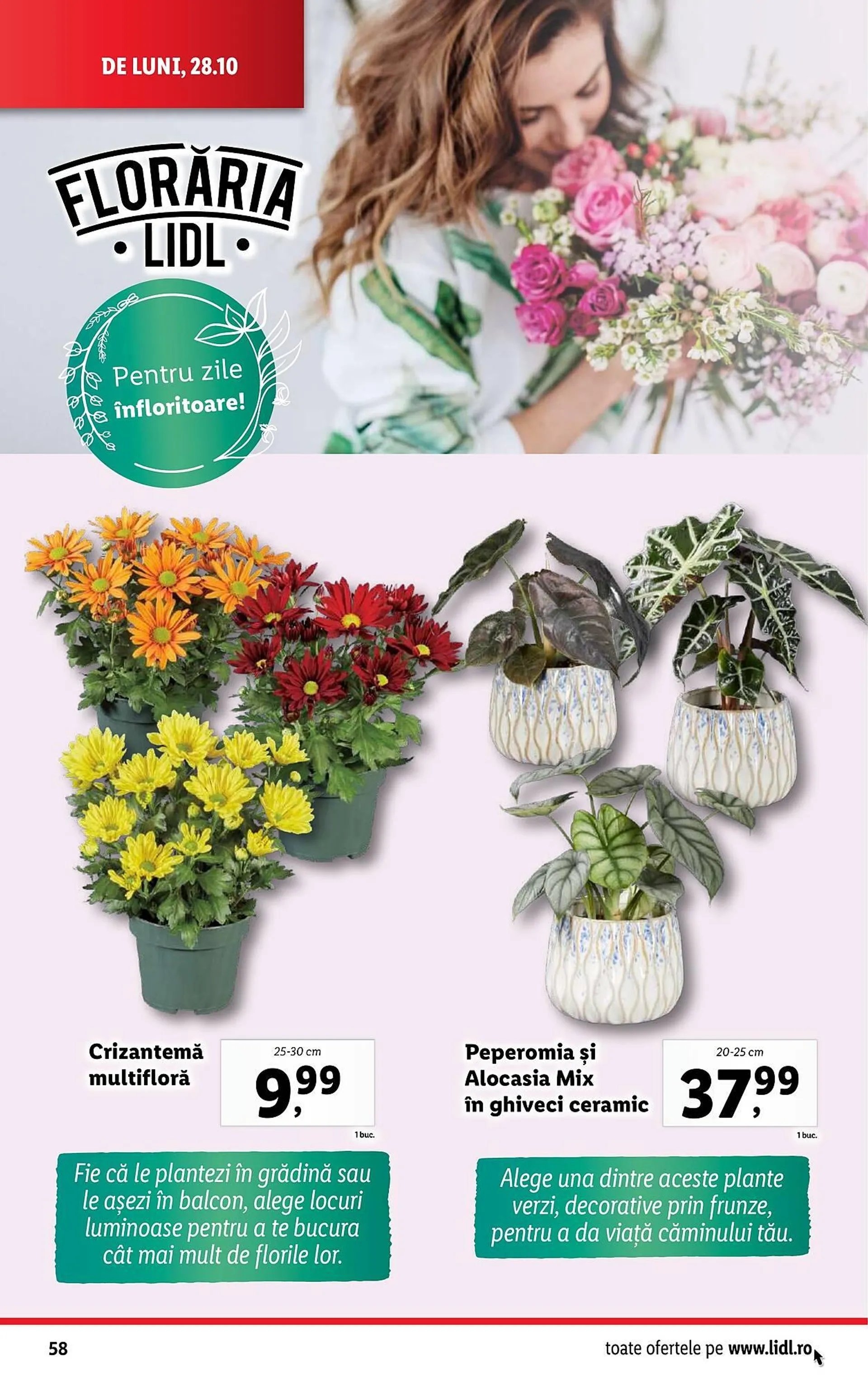 Catalog Catalog Lidl de la 28 octombrie până la 3 noiembrie 2024 - Revista Pagina 58