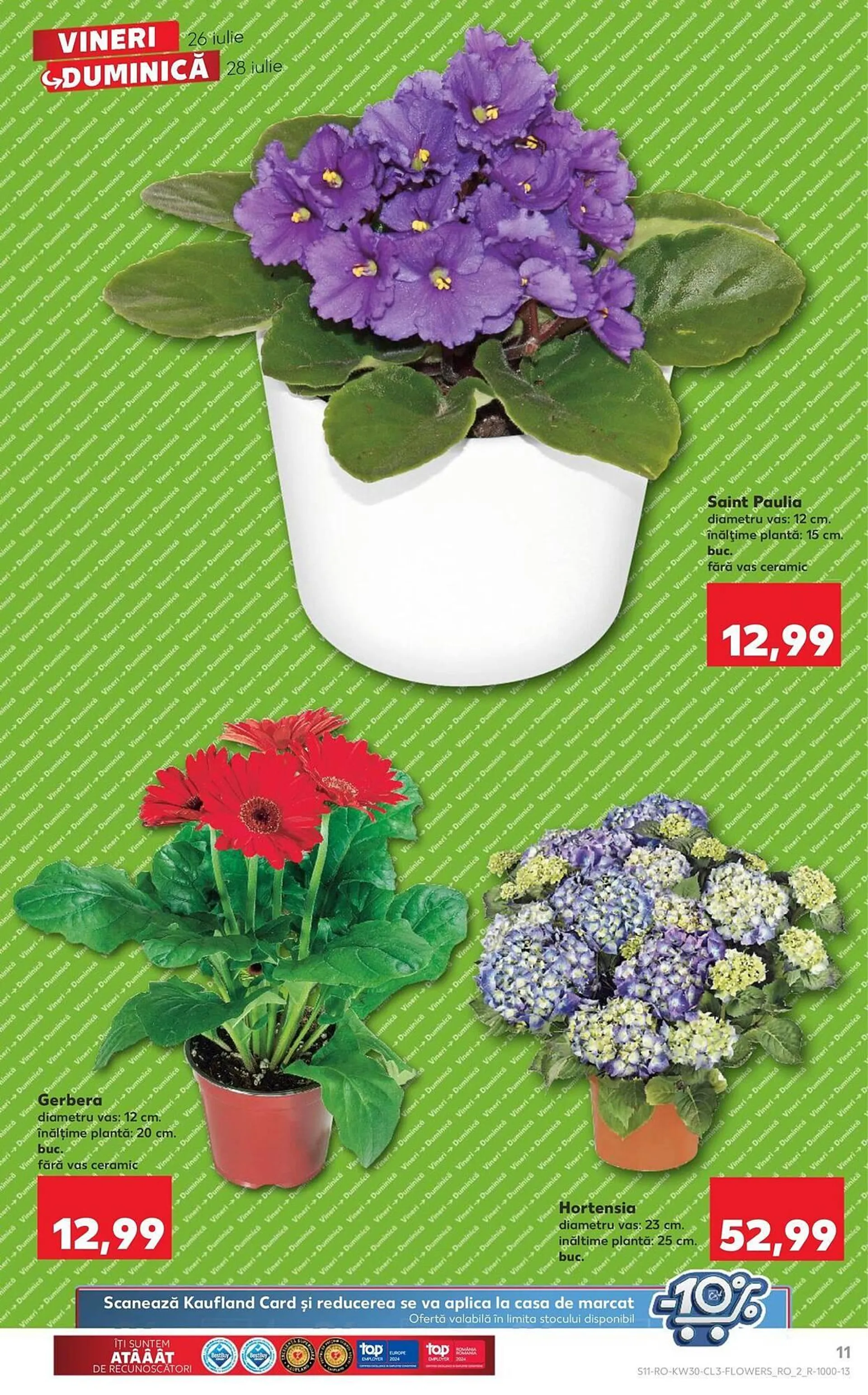 Kaufland catalog - 11