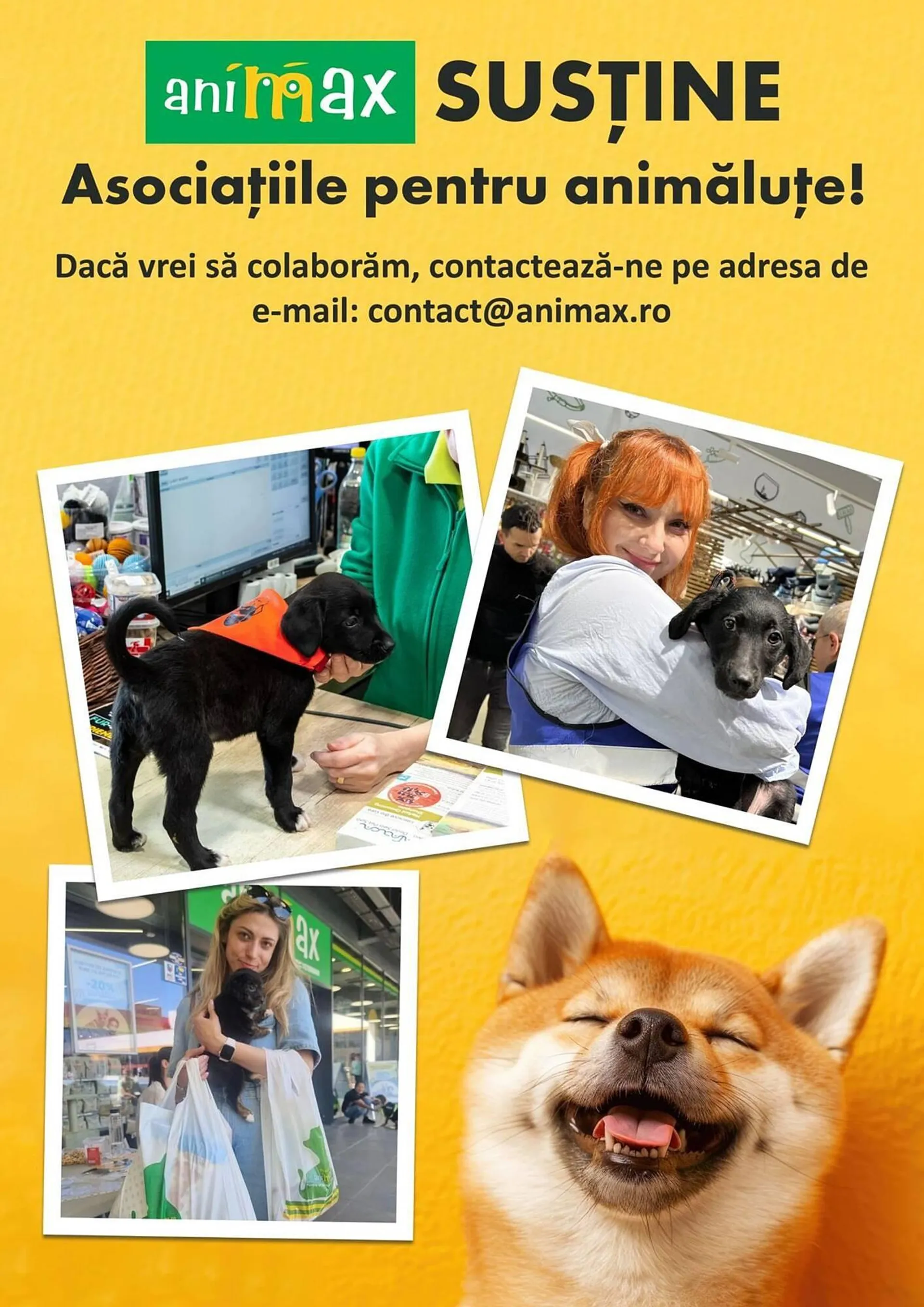 Catalog Catalog Animax de la 4 martie până la 31 martie 2025 - Revista Pagina 28