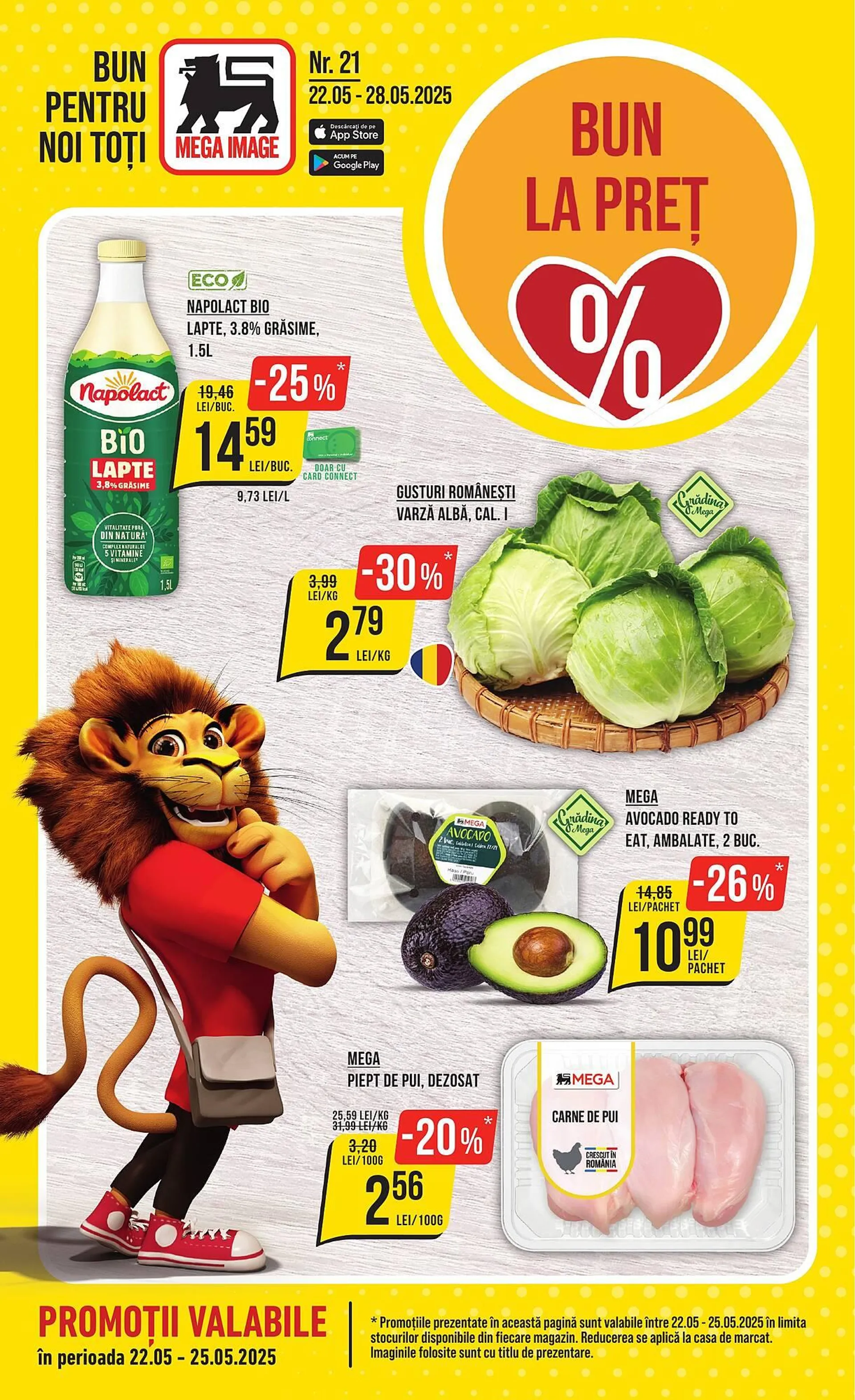 Catalog Mega Image - 1