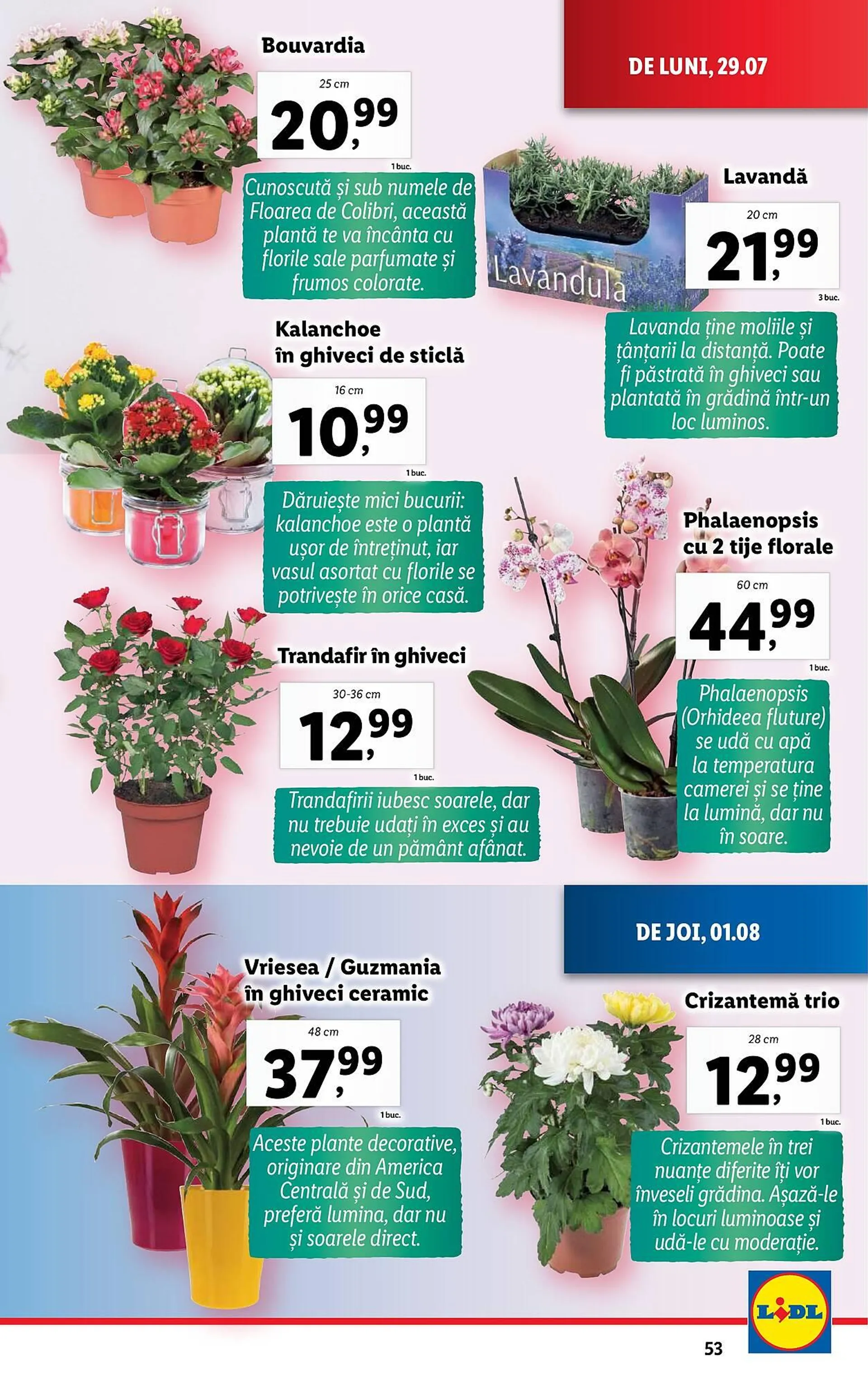 Lidl catalog - 53