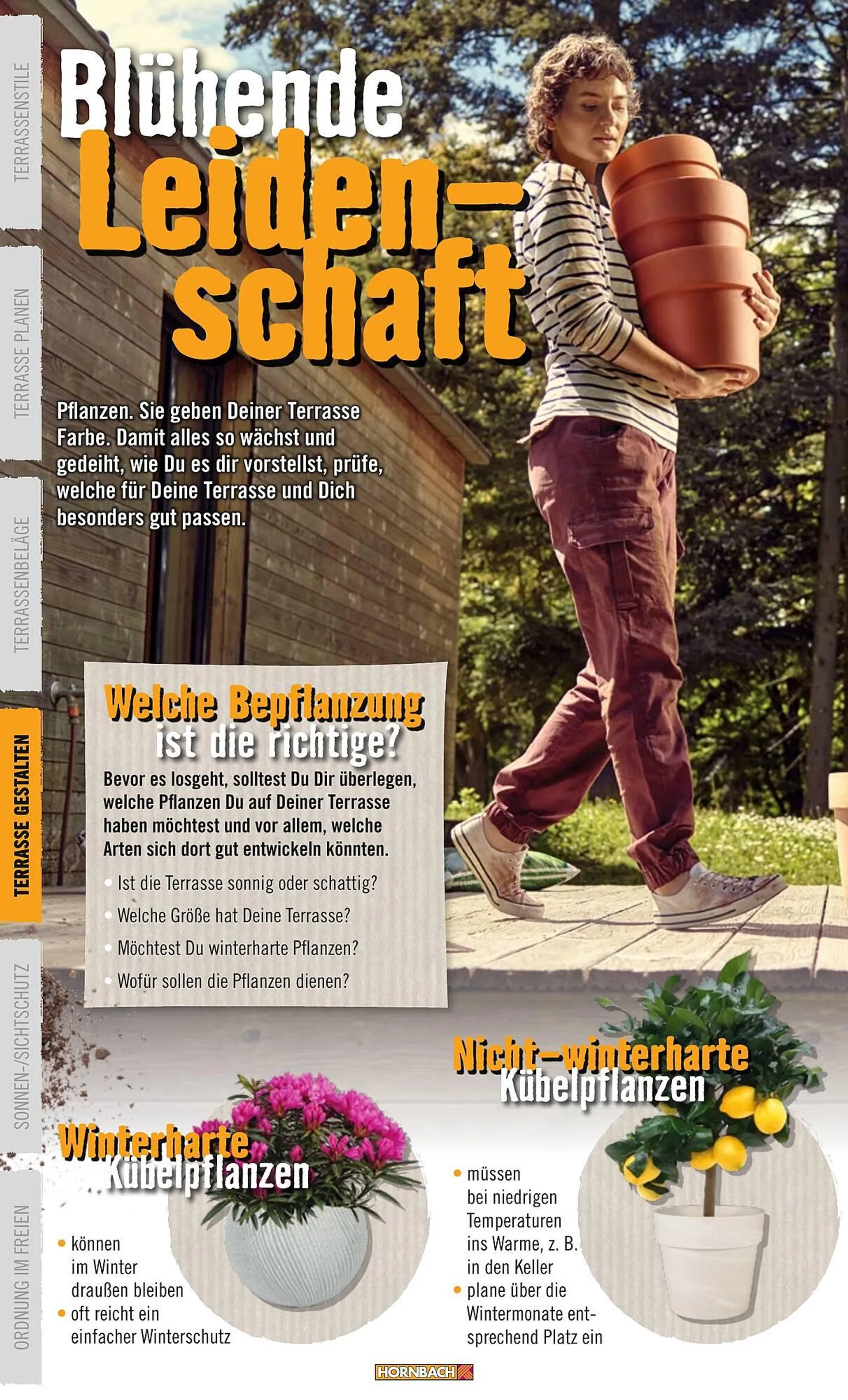 Hornbach catalog - 36