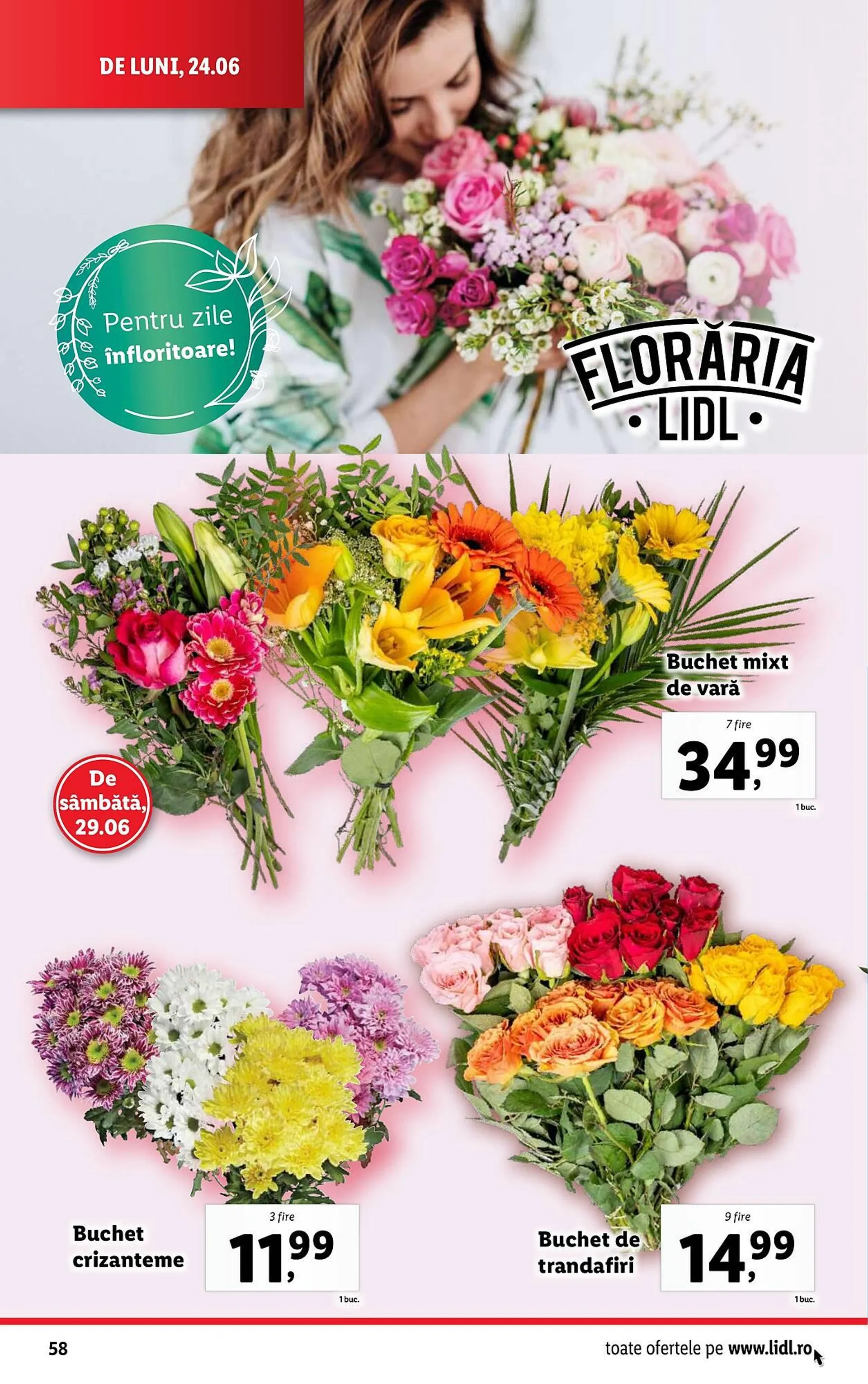 Lidl catalog - 58