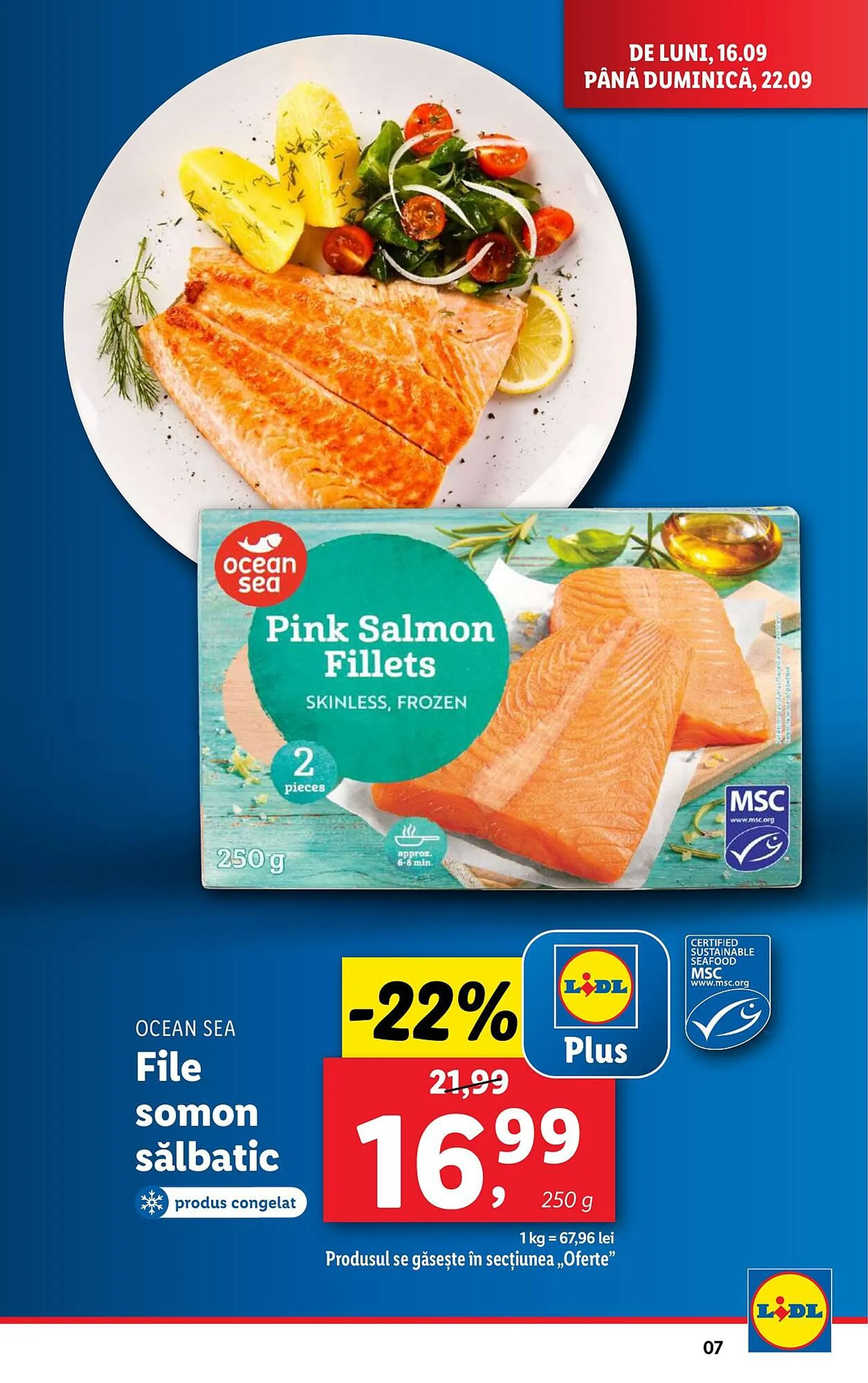 Catalog Lidl - 7