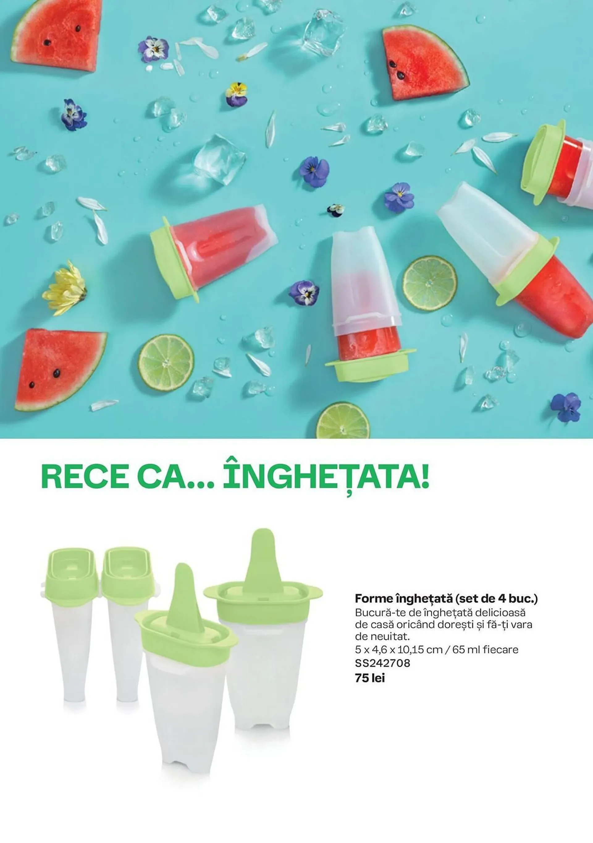 Tupperware catalog - 6