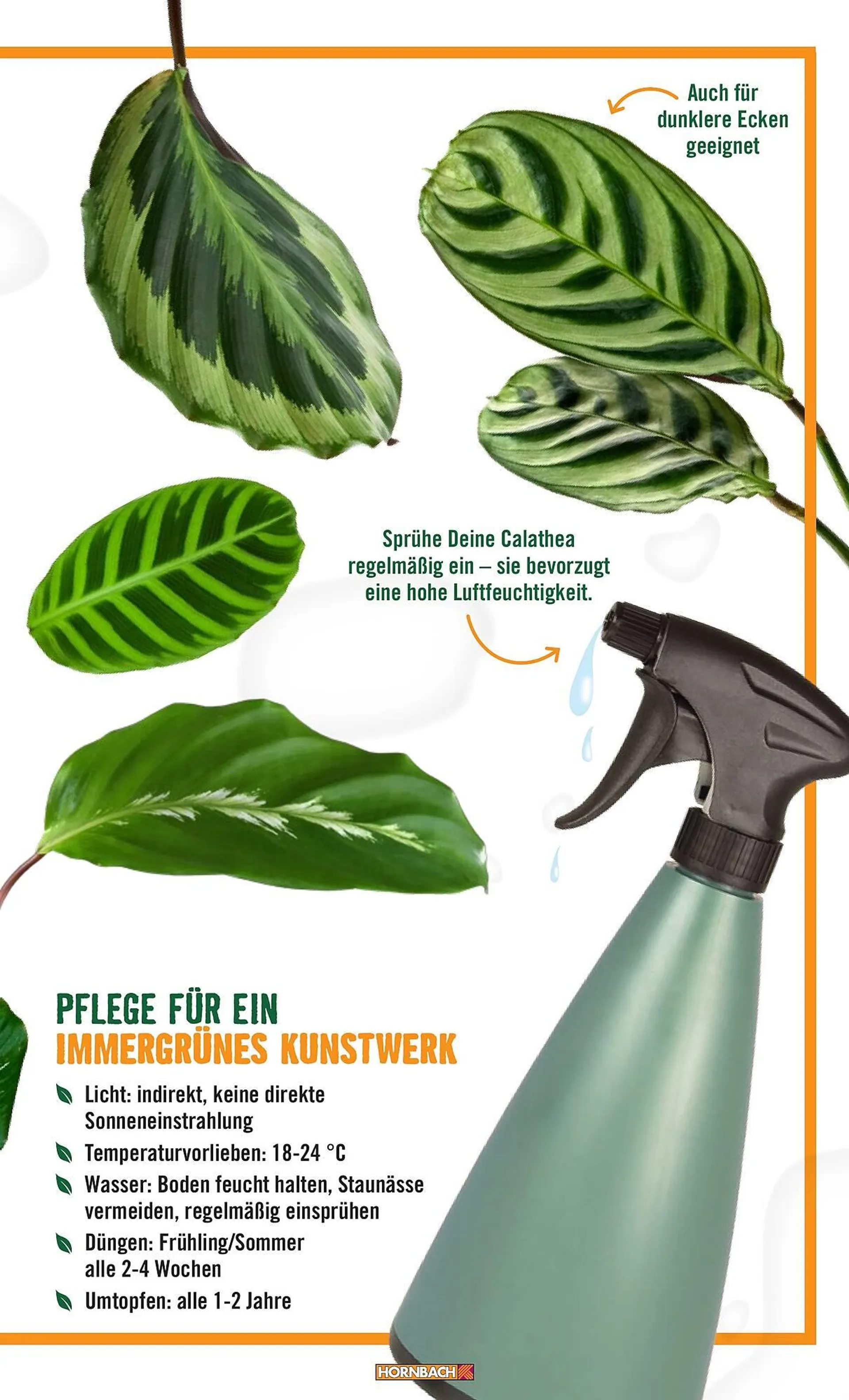 Hornbach catalog - 23