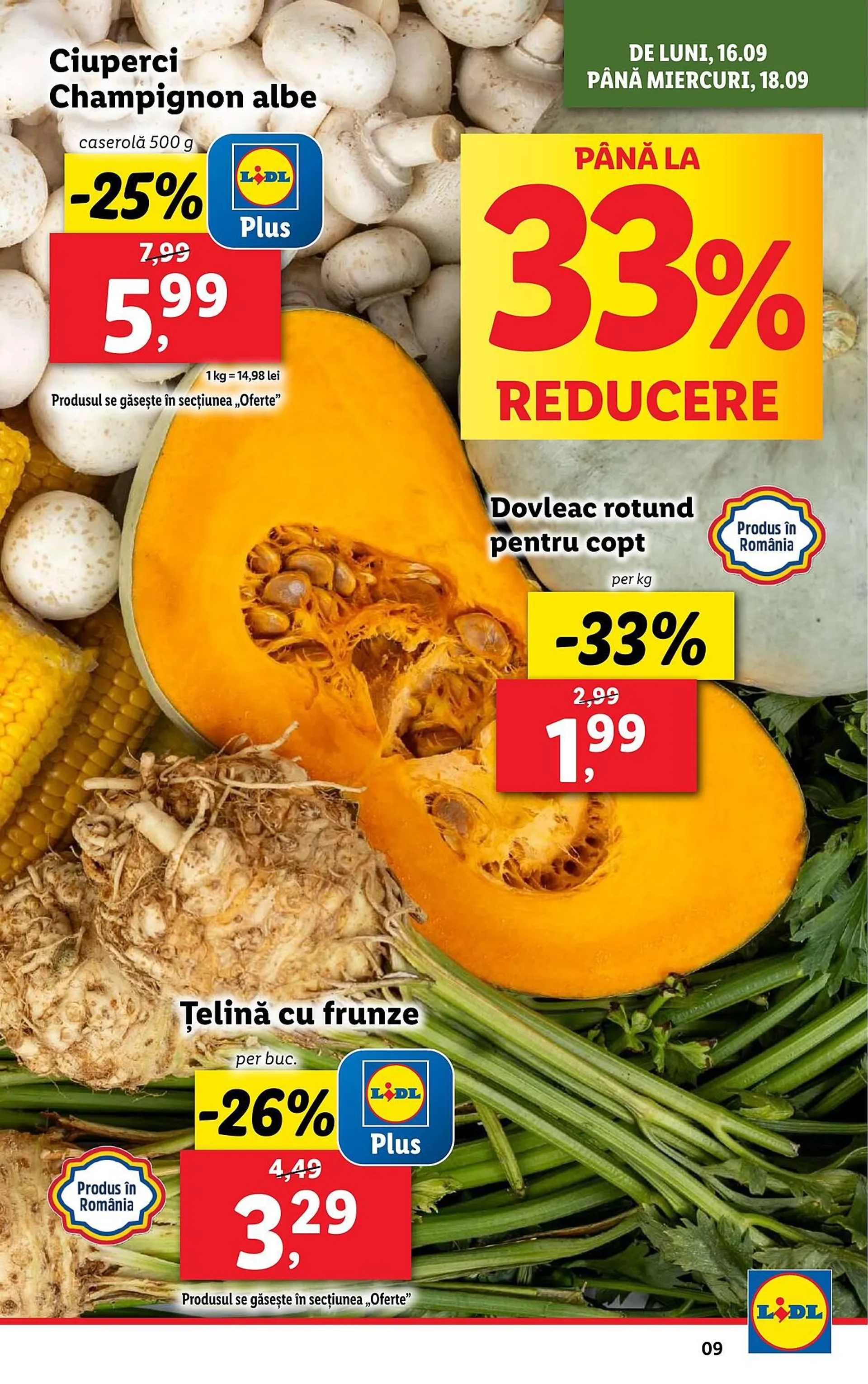 Catalog Lidl - 9