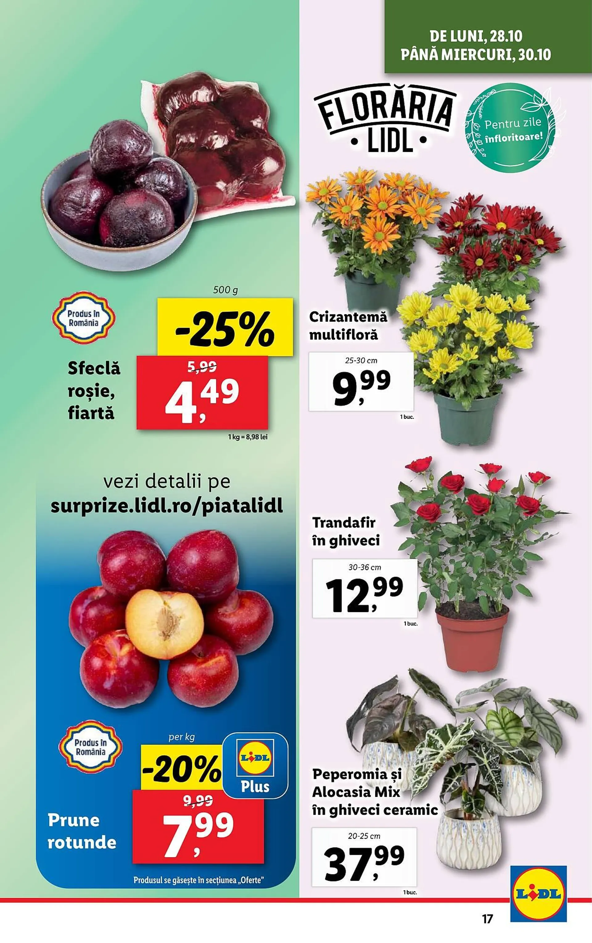 Catalog Catalog Lidl de la 28 octombrie până la 3 noiembrie 2024 - Revista Pagina 17