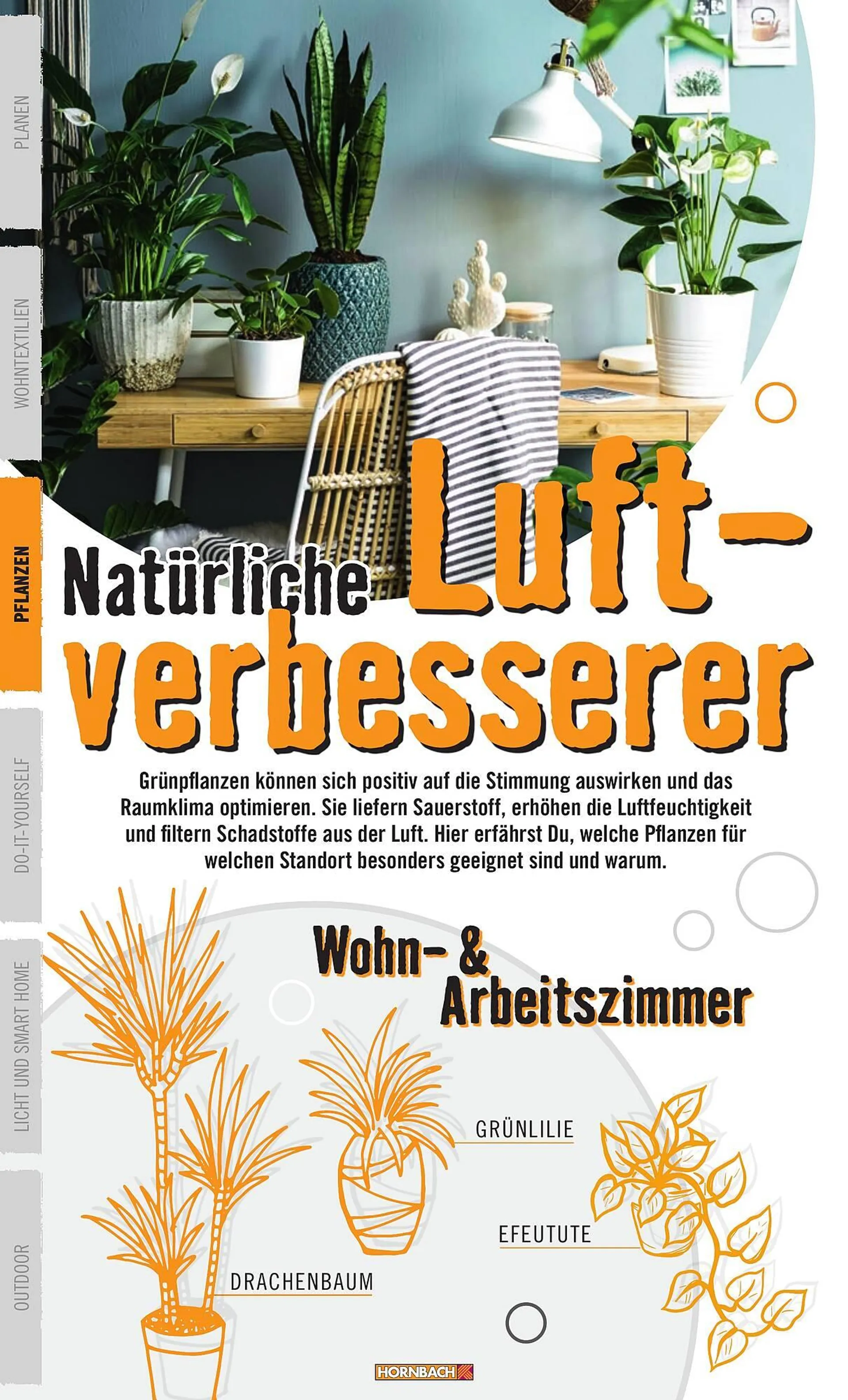 Hornbach catalog - 20