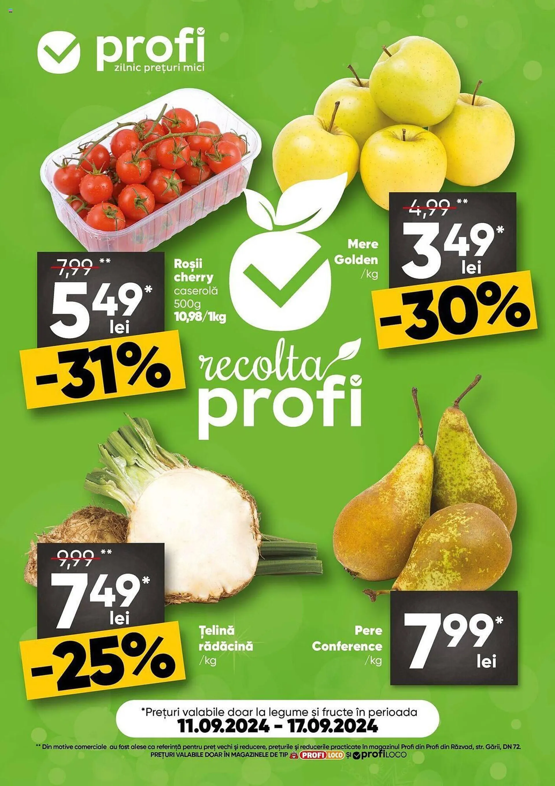 Catalog PROFI - 1