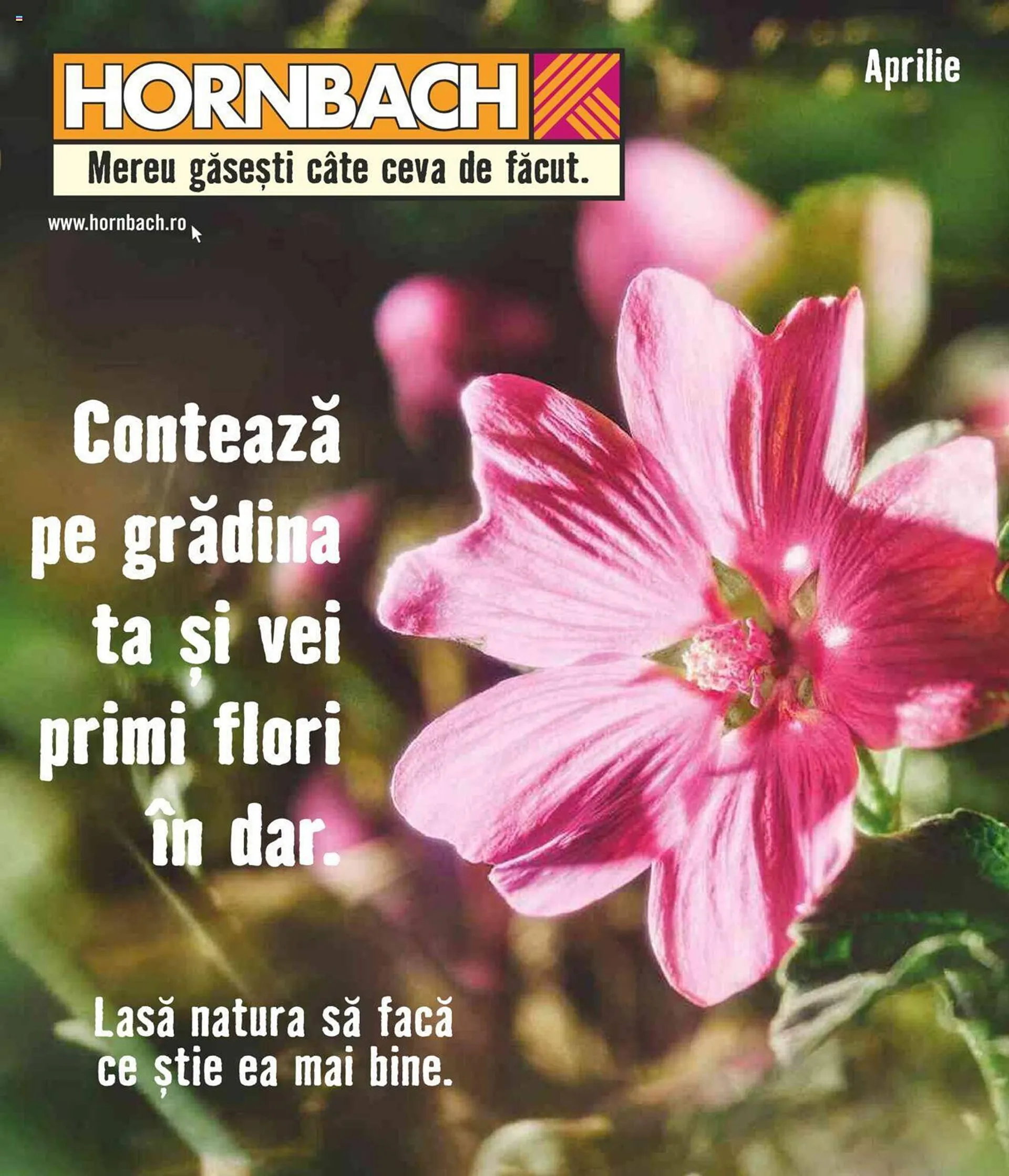 Hornbach catalog - 1