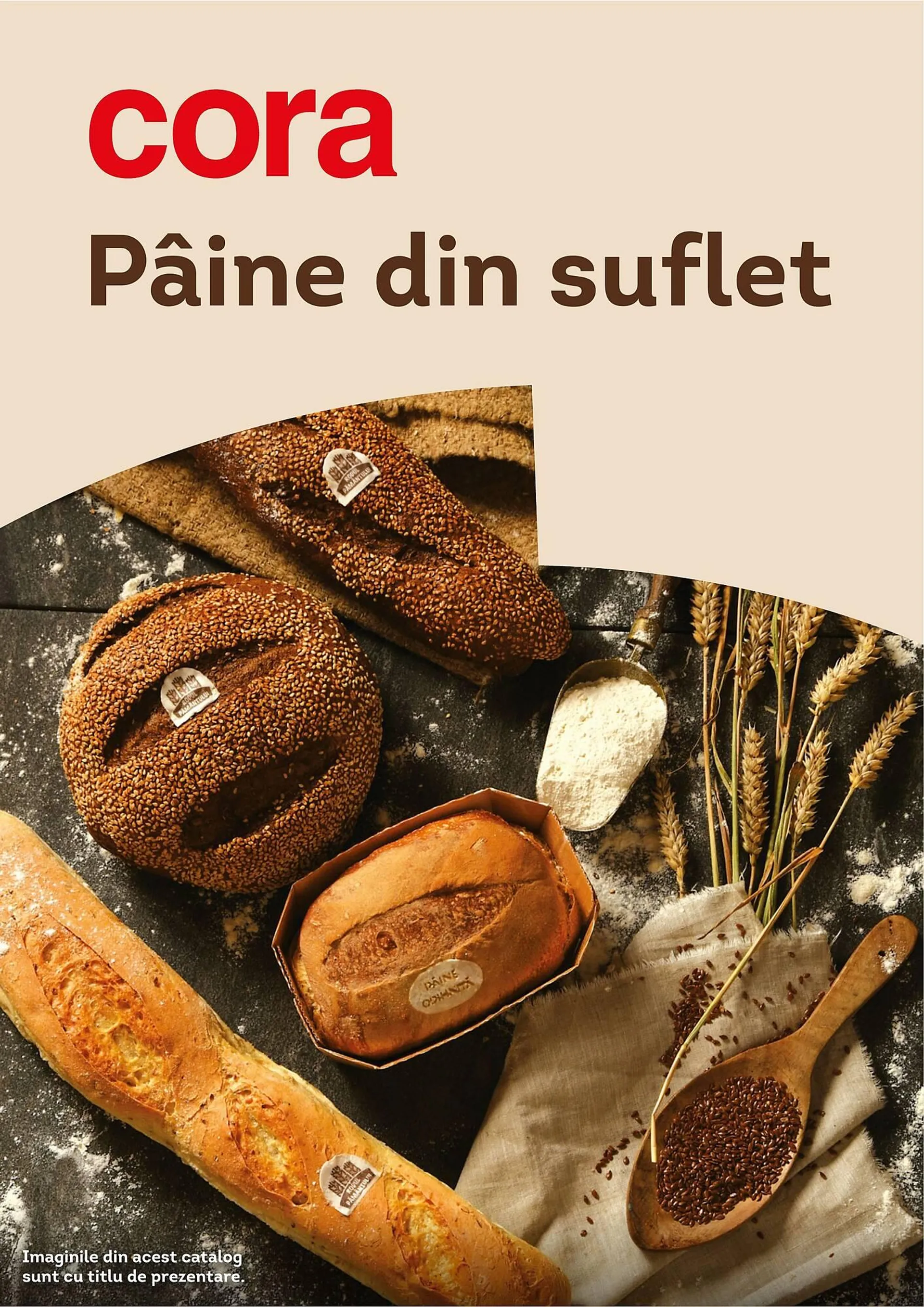 Brochure Cover
