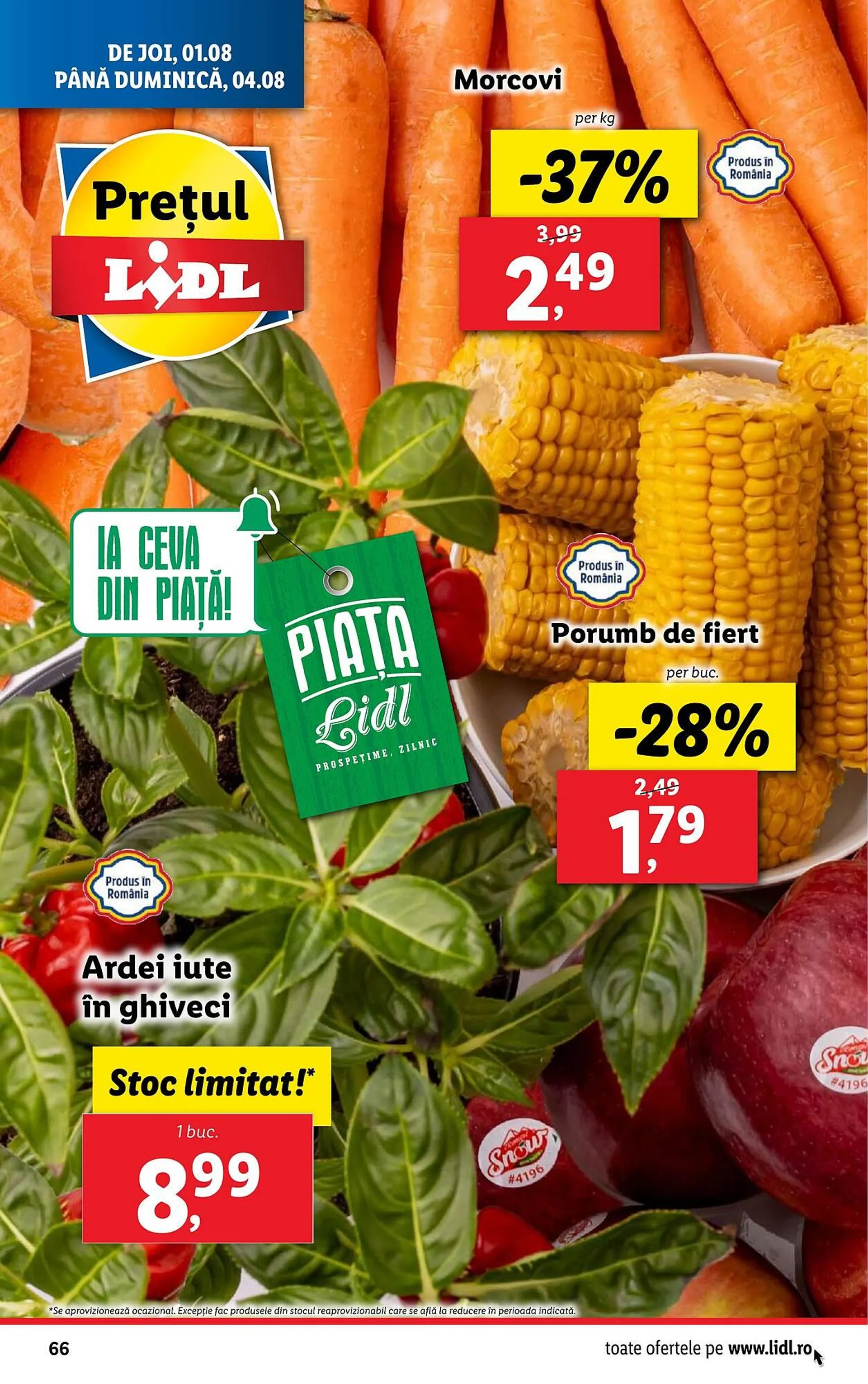 Lidl catalog - 66