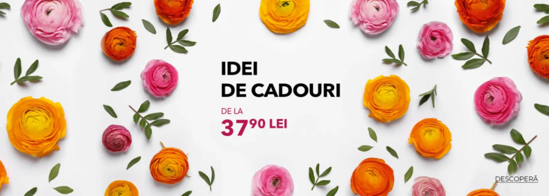 Catalog Yves Rocher - 1