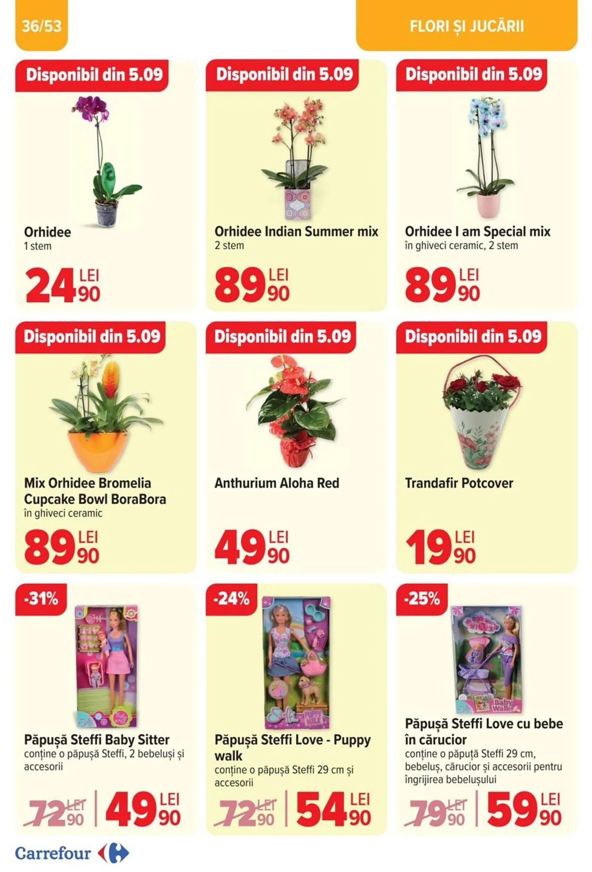 Catalog Catalog Carrefour de la 4 septembrie până la 17 septembrie 2024 - Revista Pagina 10