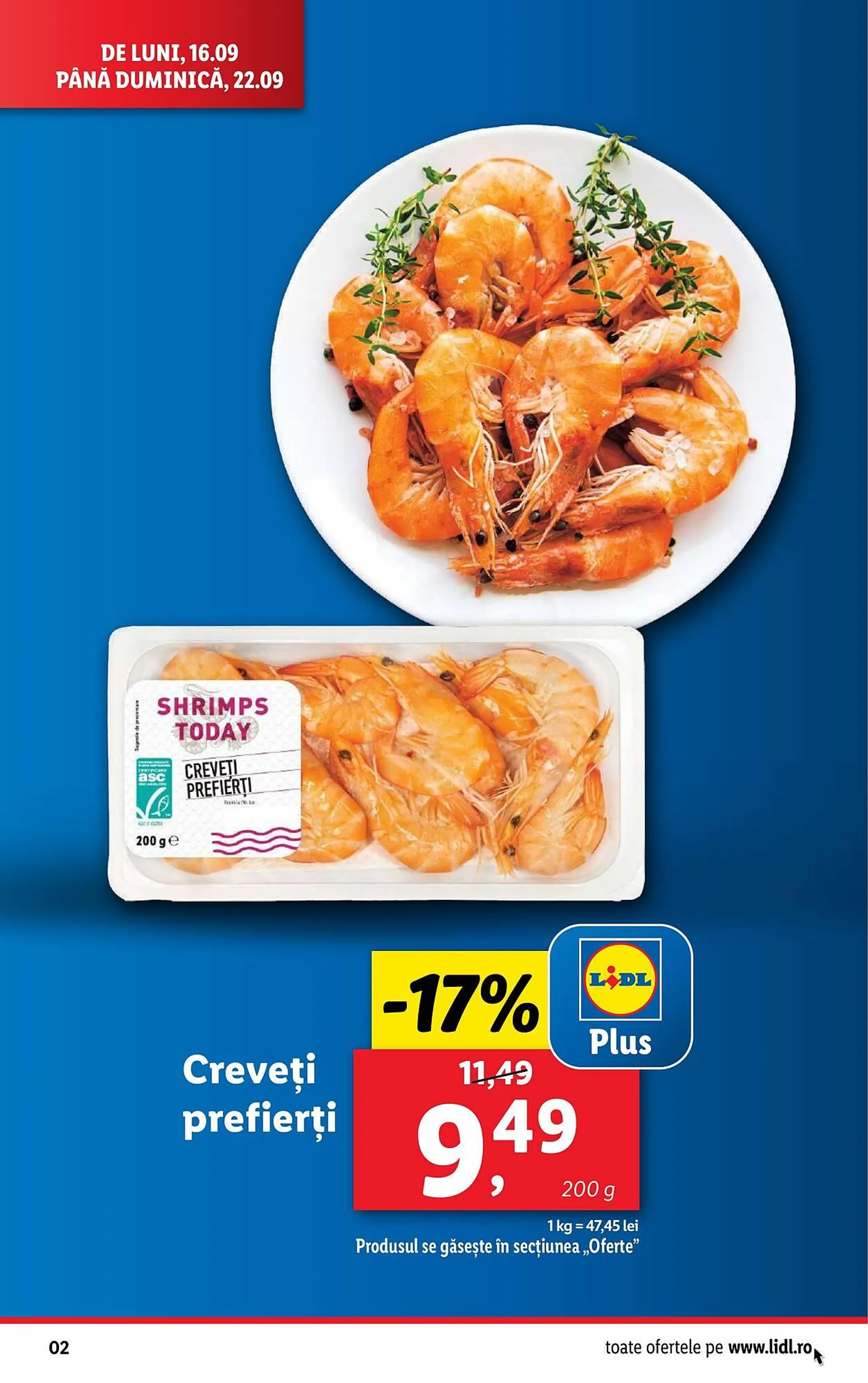 Catalog Lidl - 2