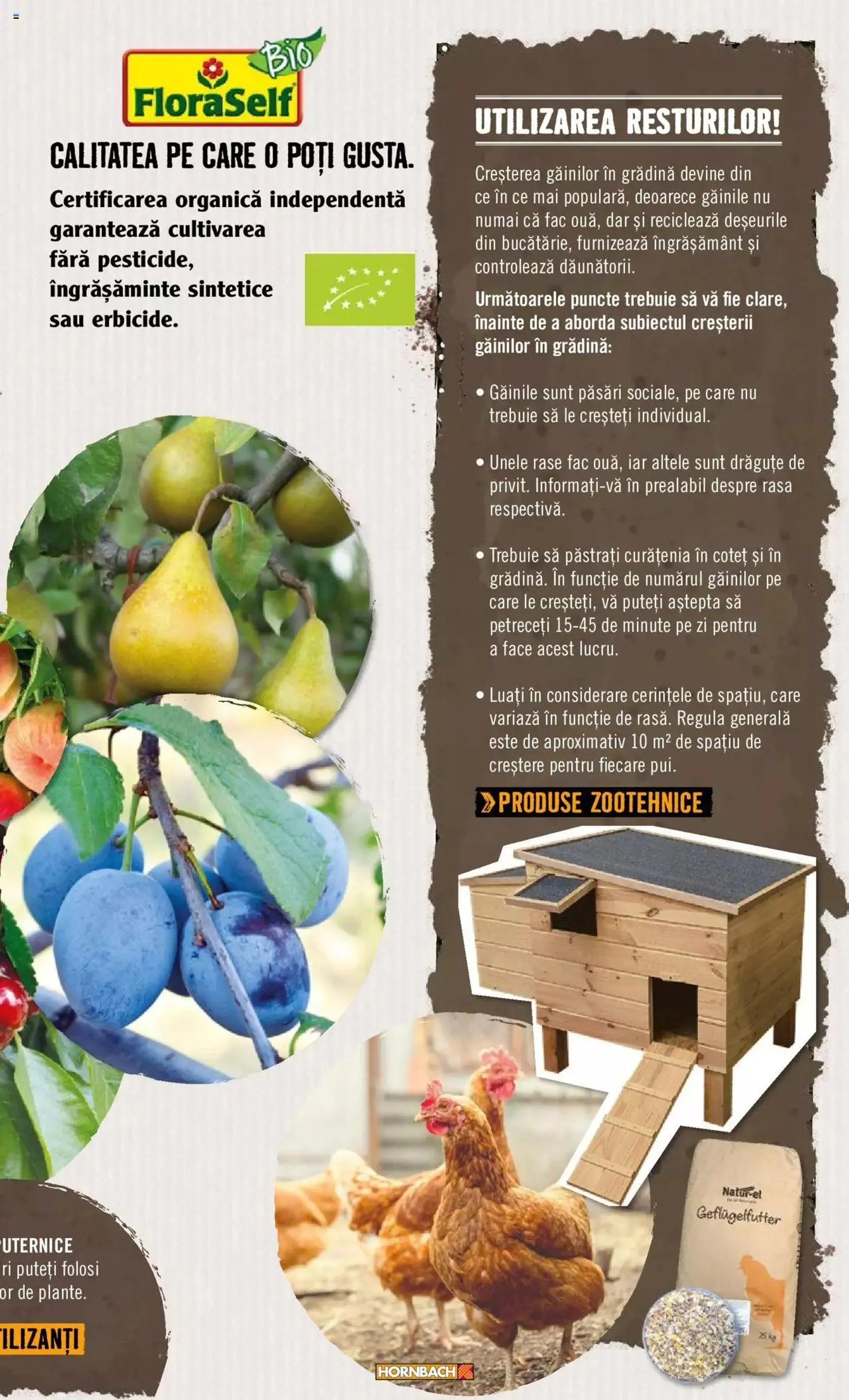 Catalog Hornbach catalog - Grădină de la 22 aprilie până la 31 decembrie 2024 - Revista Pagina 9