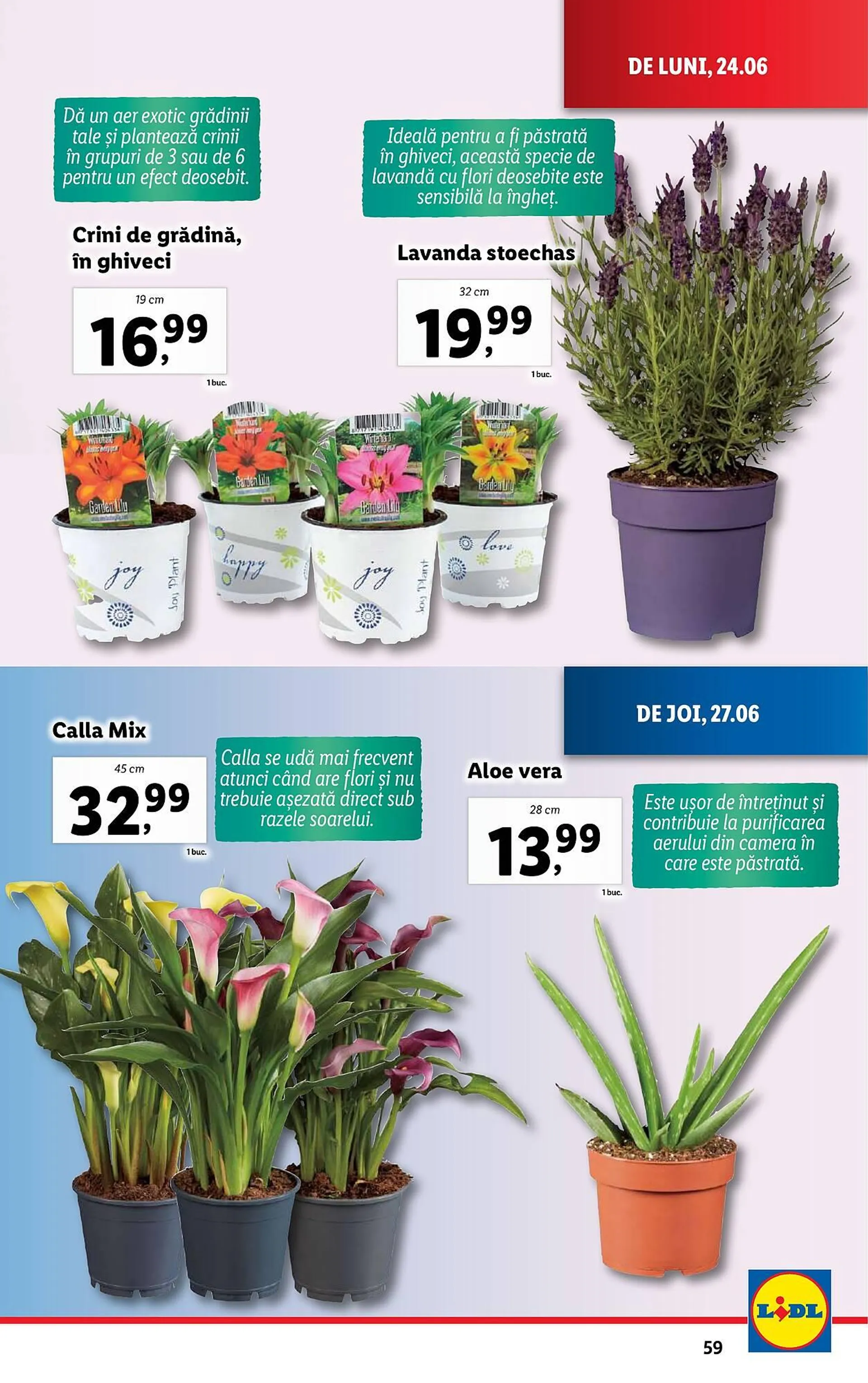 Lidl catalog - 59