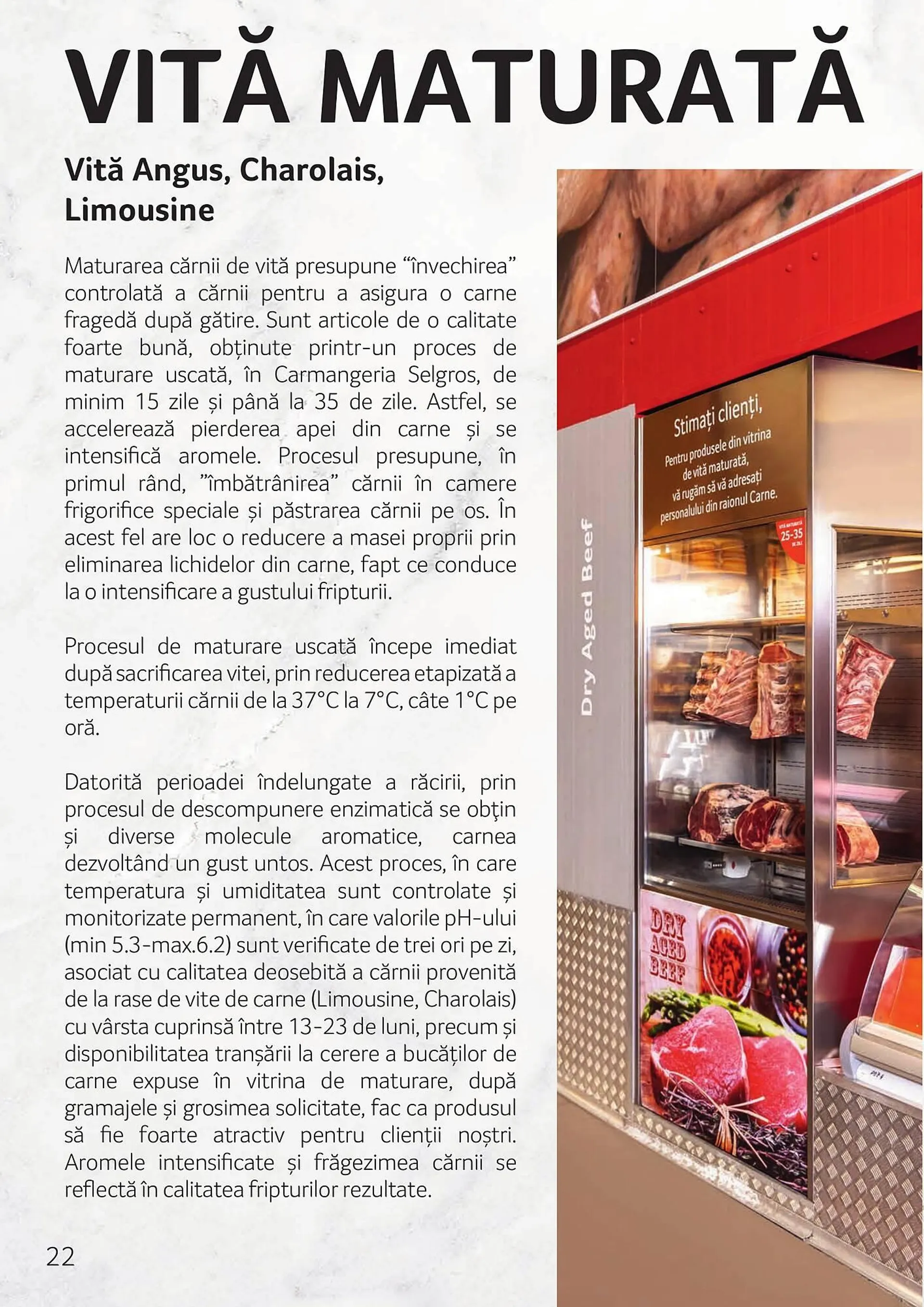 Catalog Selgros catalog de la 4 octombrie până la 9 septembrie 2024 - Revista Pagina 22