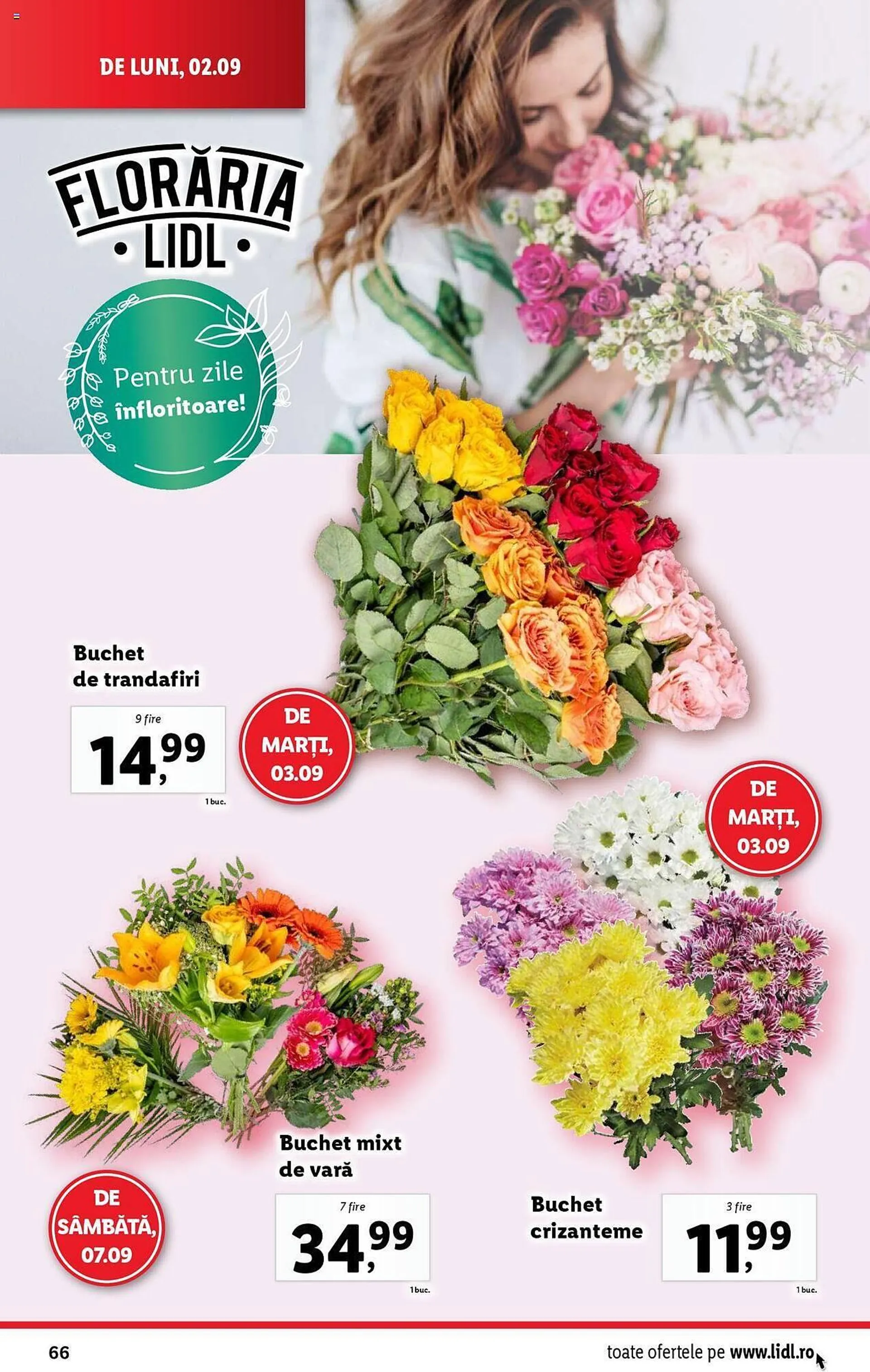 Catalog Catalog Lidl de la 2 septembrie până la 8 septembrie 2024 - Revista Pagina 66