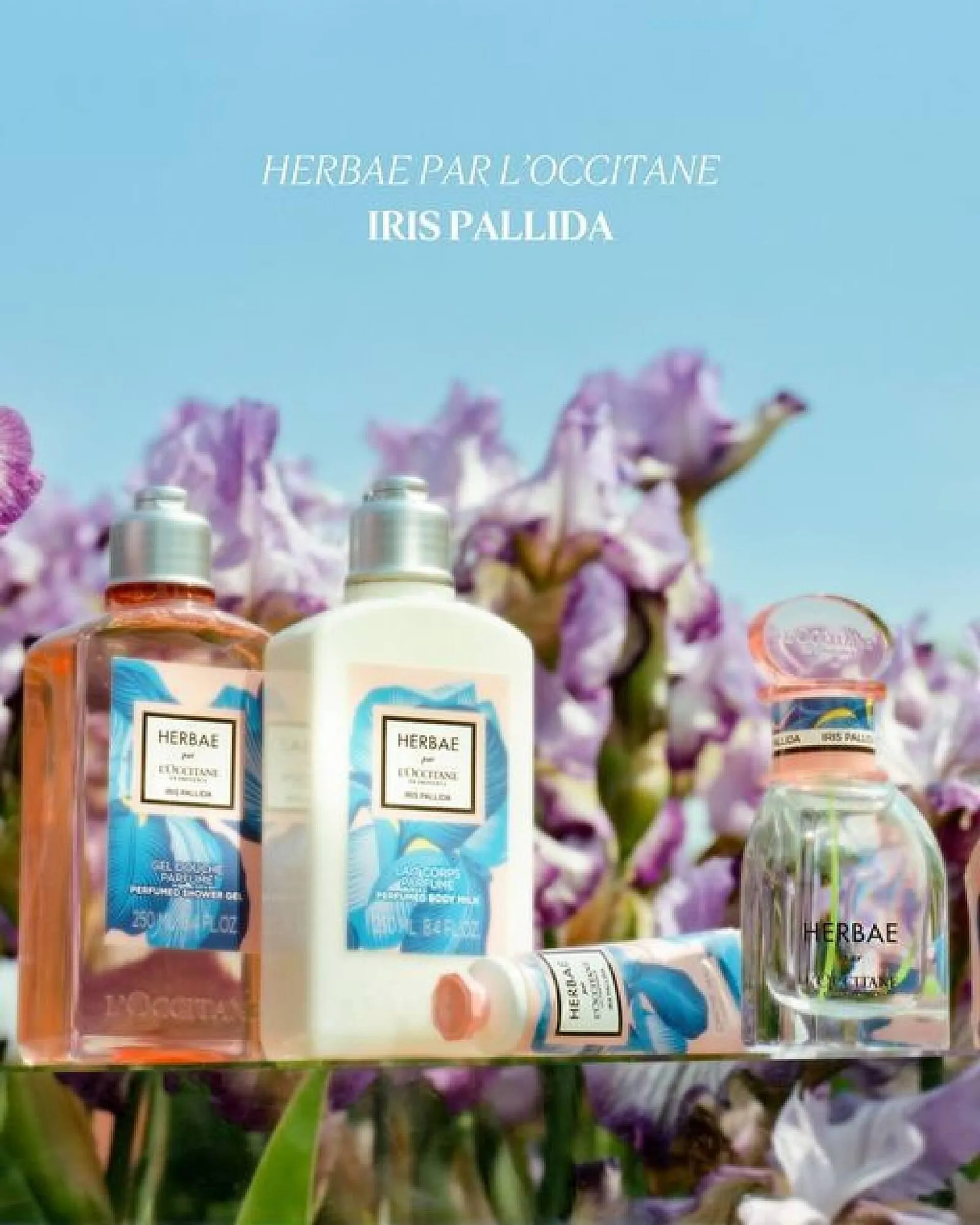 Catalog L'OCCITANE catalog de la 3 mai până la 14 mai 2024 - Revista Pagina 2