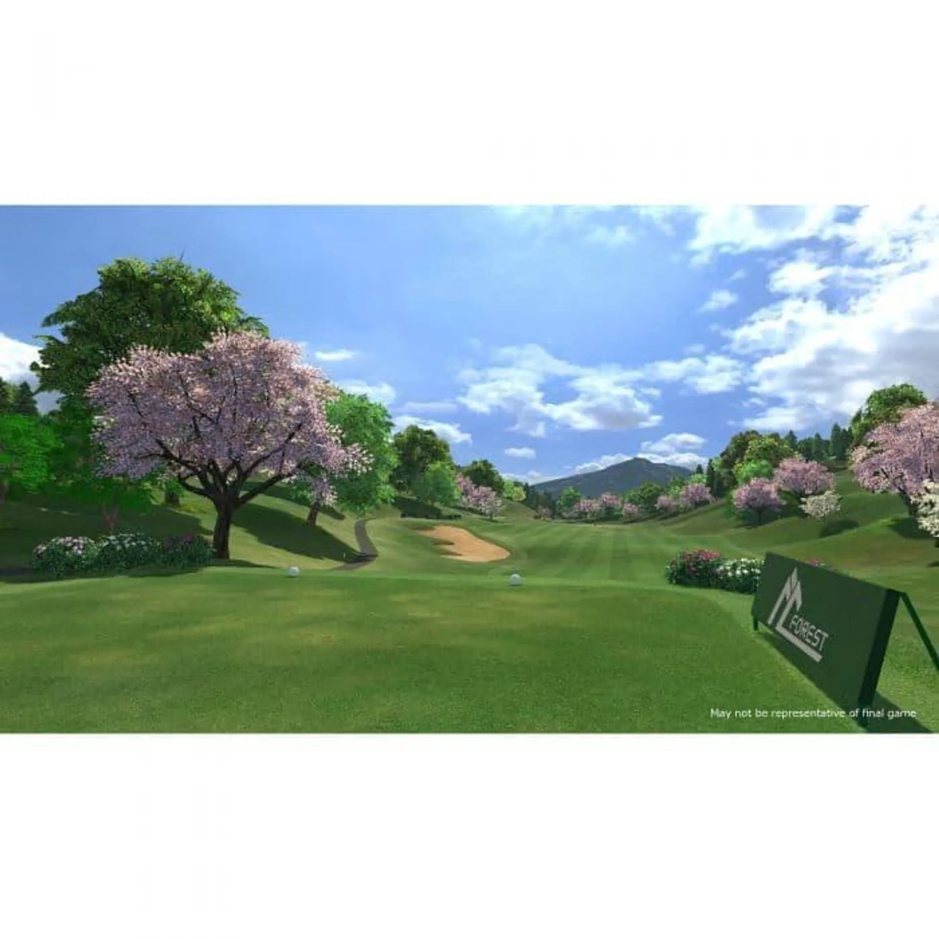 Joc PS4 Everybody`s Golf, VR