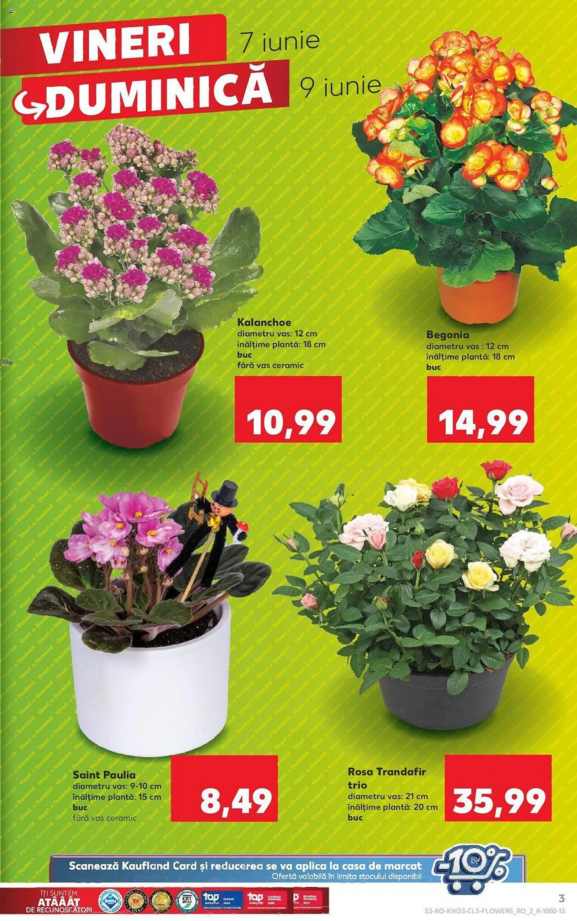 Kaufland catalog - 3