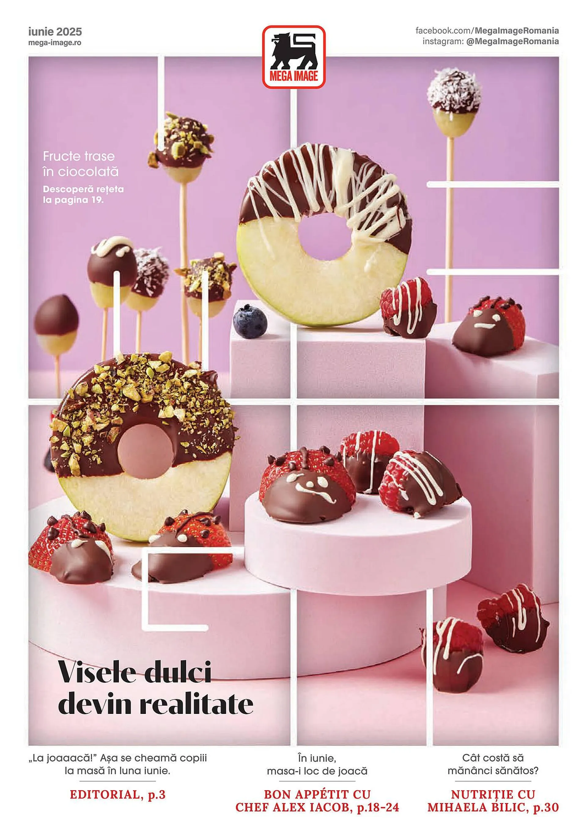 Catalog Mega Image - 1