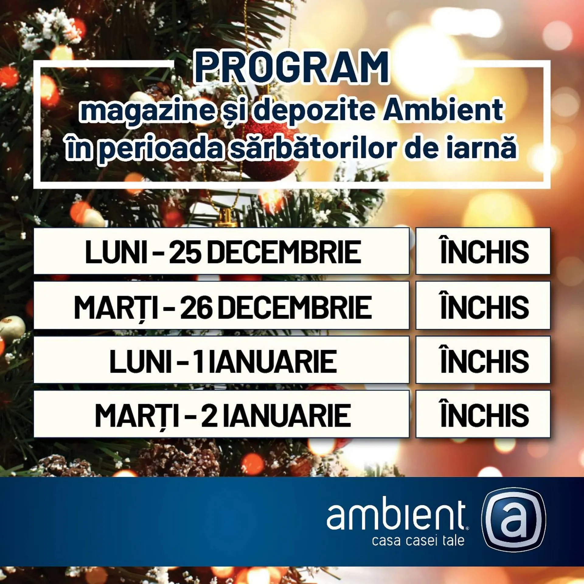 Catalog Ambient catalog de la 23 decembrie până la 2 ianuarie 2024 - Revista Pagina 1