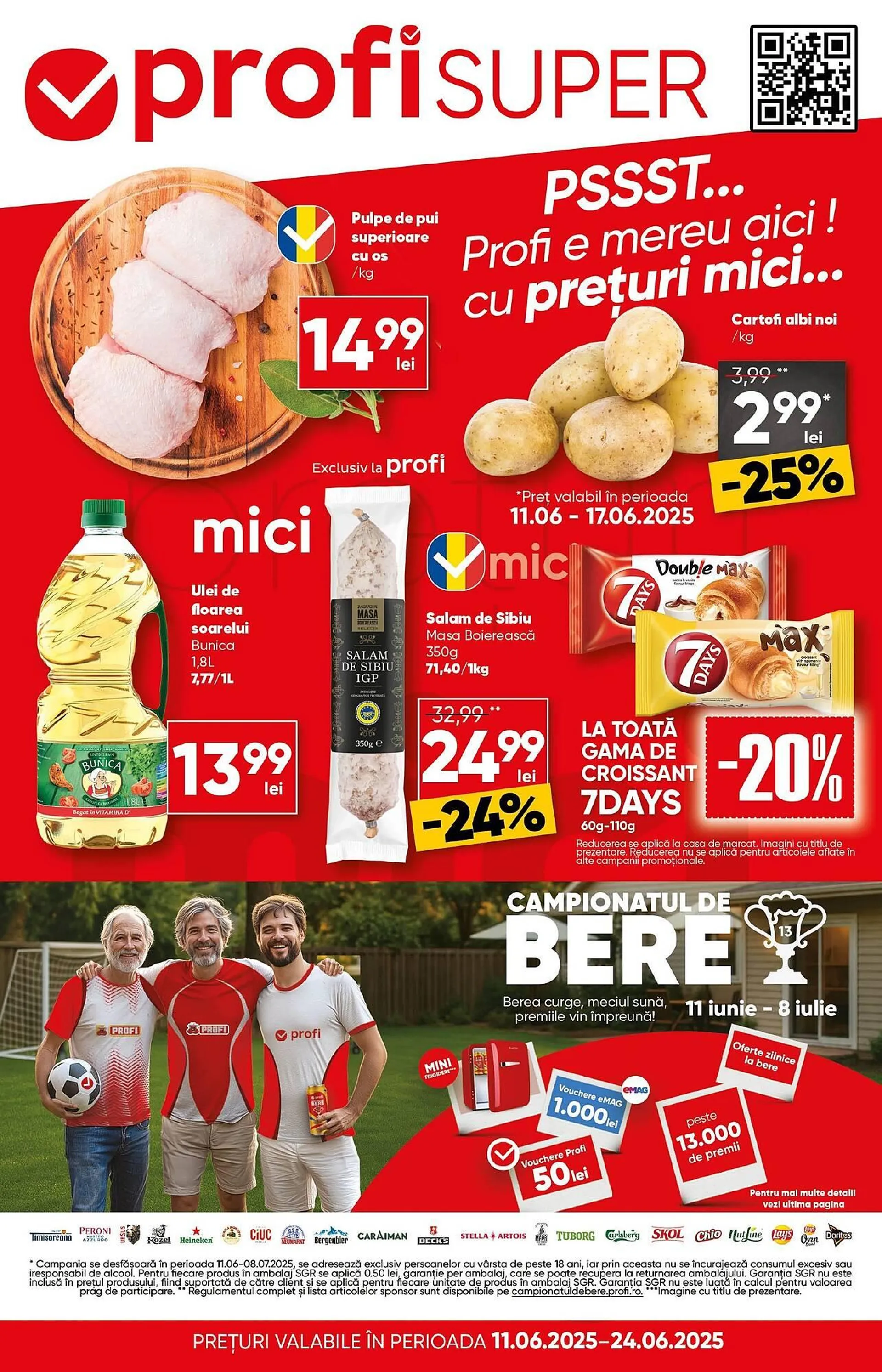 Catalog PROFI - 1