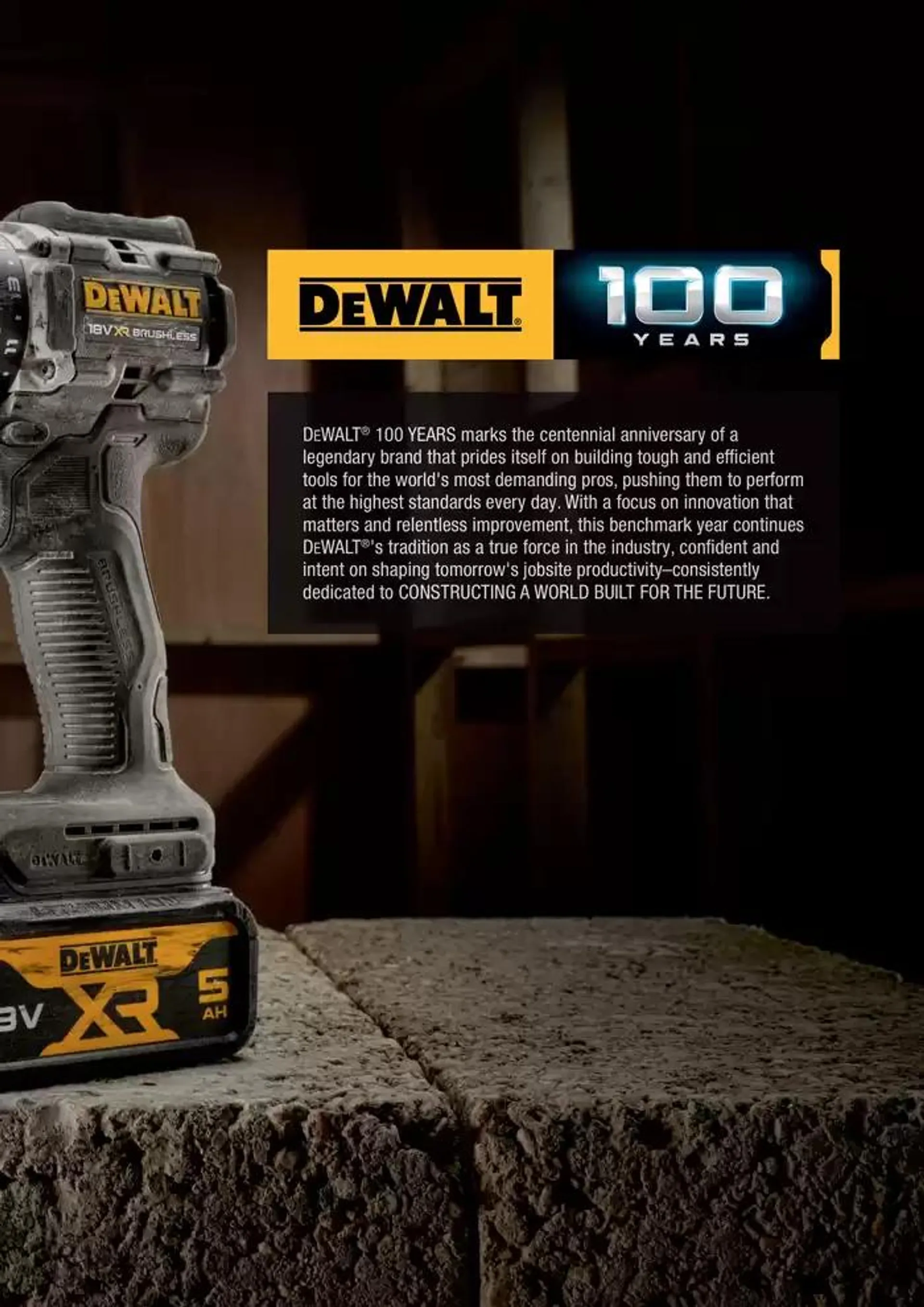 Dewalt reklamblad från 28 september till 12 oktober 2024 - Reklamblad sidor 5