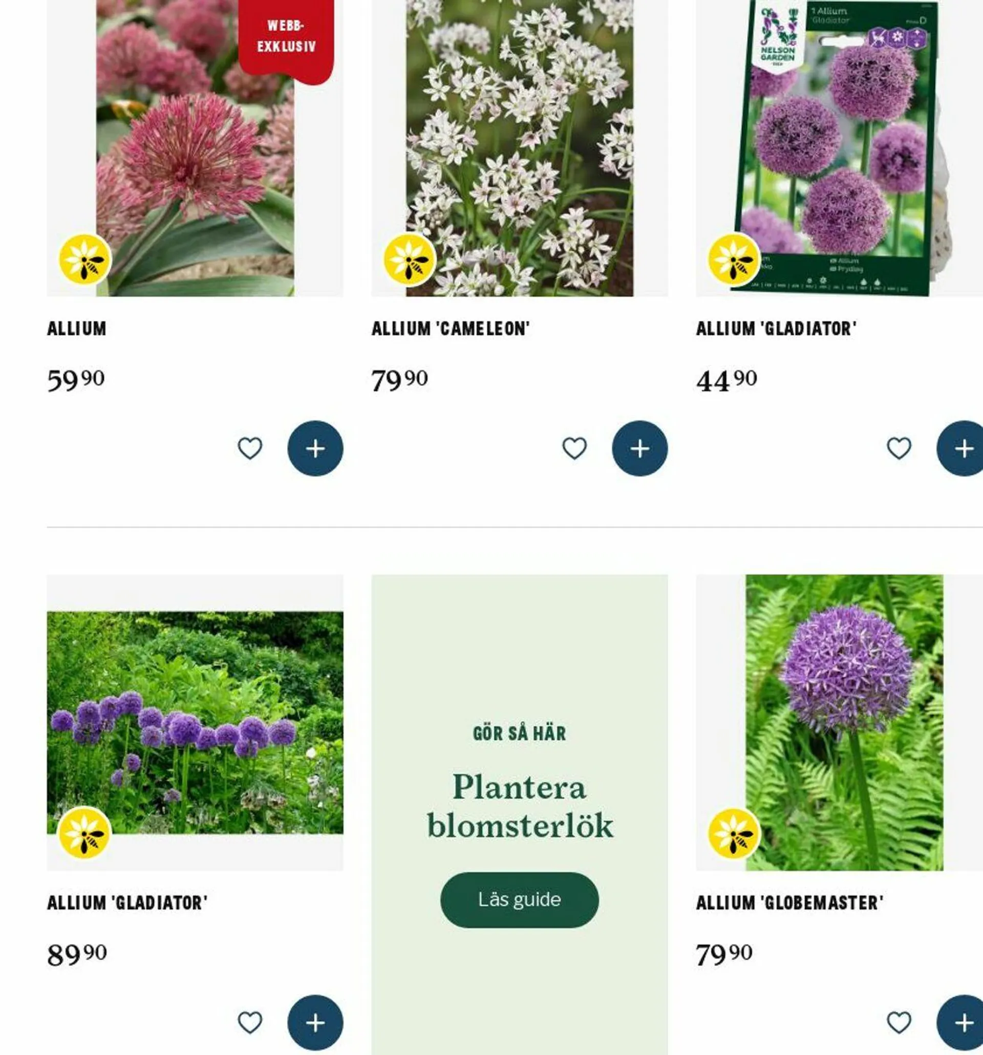 Blomsterlandet - 1