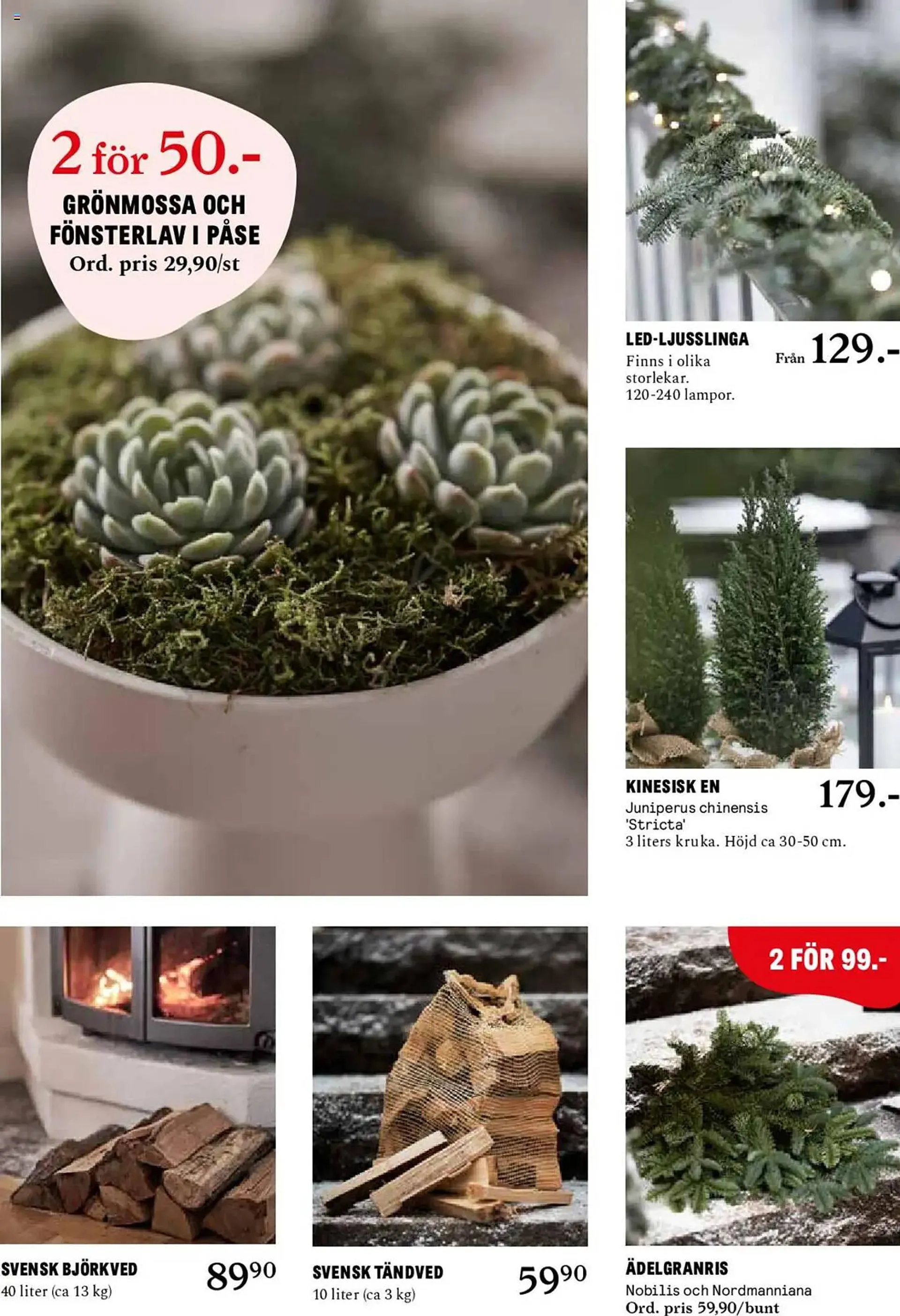 Blomsterlandet reklamblad från 25 november till 1 december 2024 - Reklamblad sidor 6