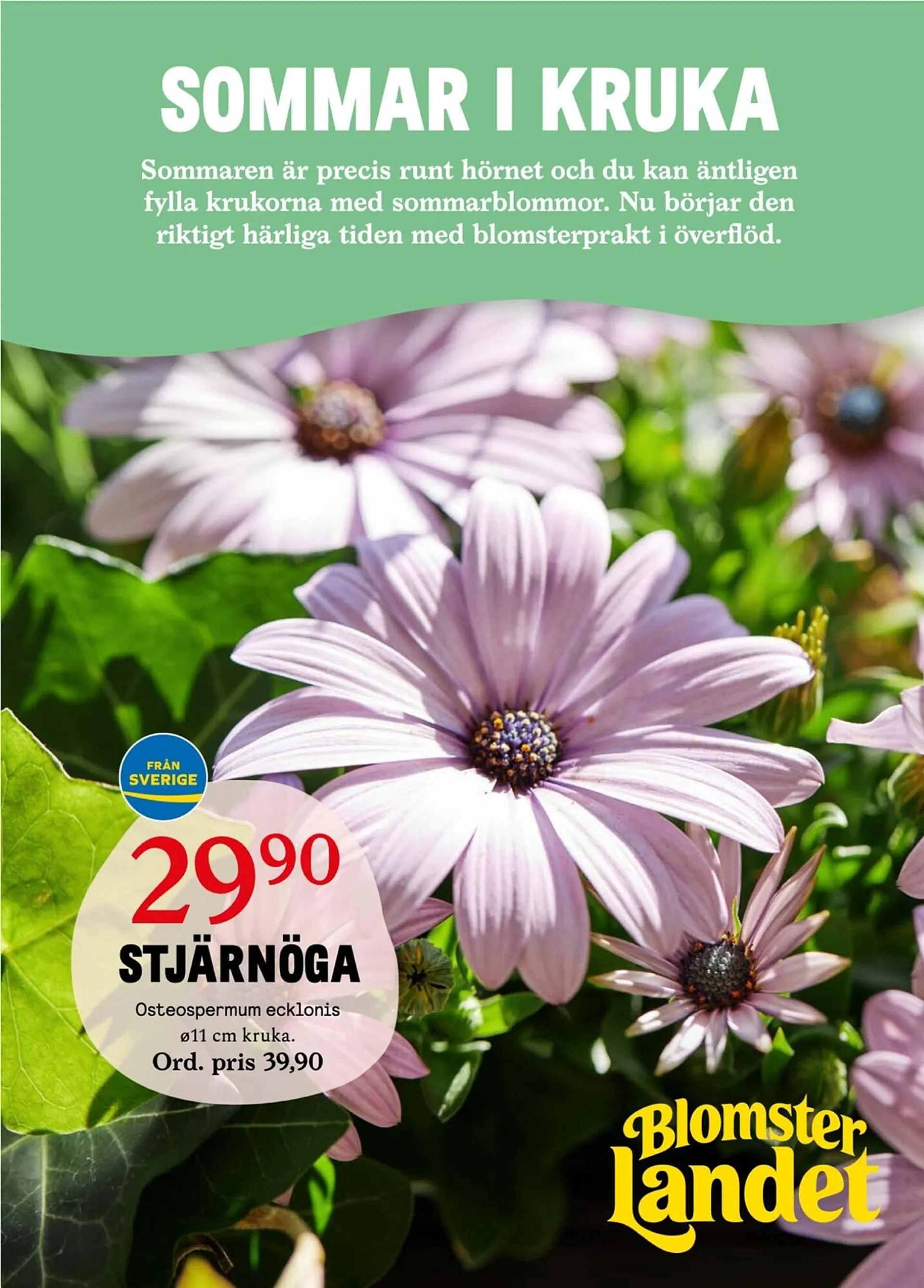 Blomsterlandet reklamblad - 1