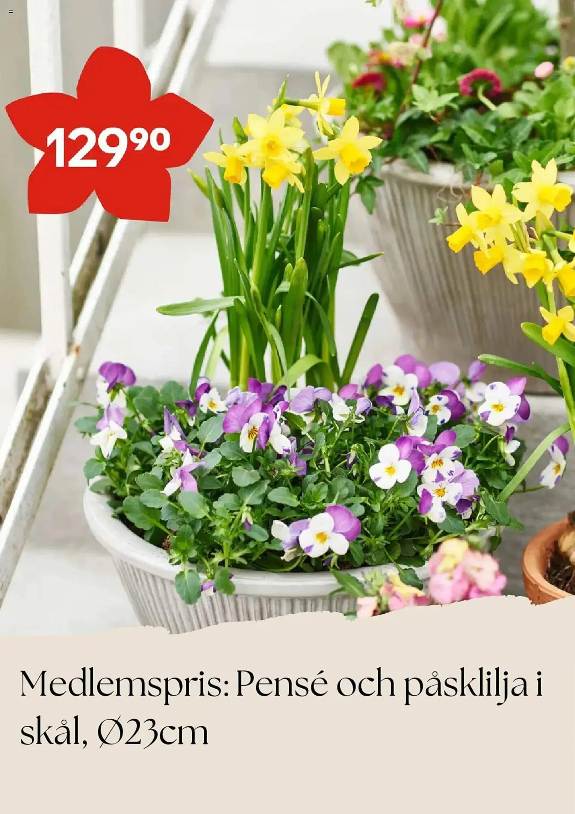 Plantagen reklamblad från 1 april till 30 april 2025 - Reklamblad sidor 3