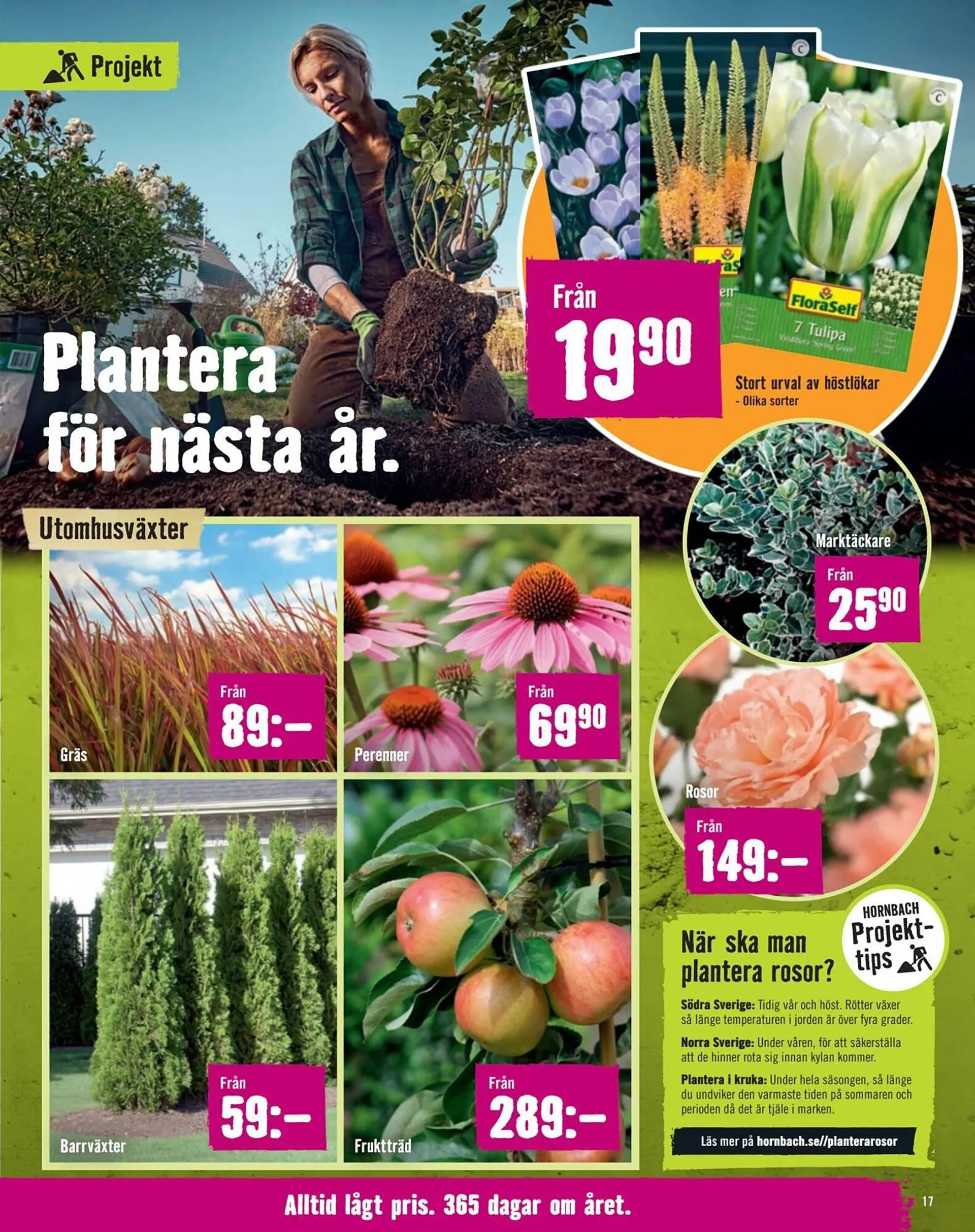 Hornbach reklamblad från 27 september till 23 oktober 2024 - Reklamblad sidor 17