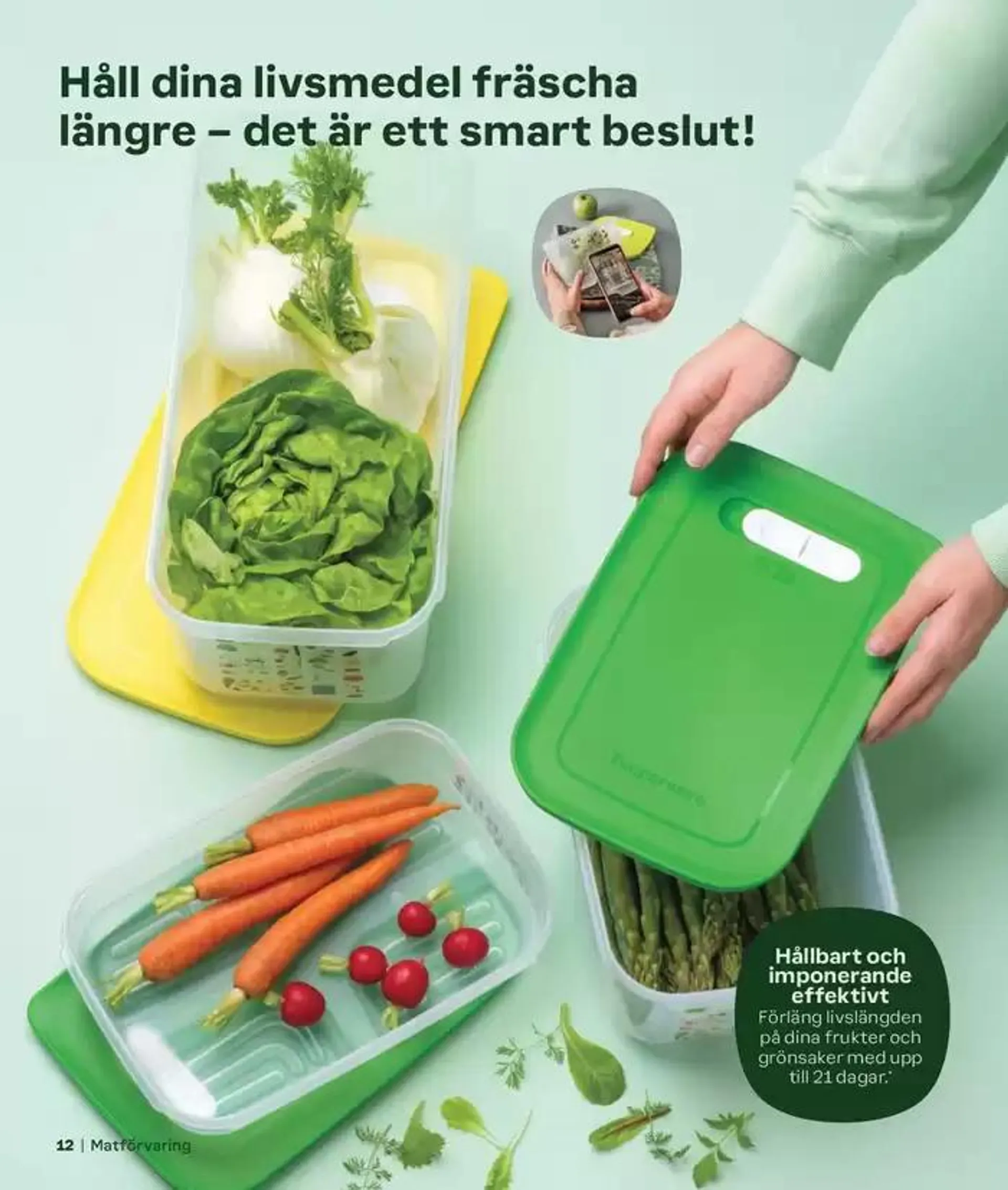 Attraktiva specialerbjudanden för alla från 2 september till 31 januari 2025 - Reklamblad sidor 3