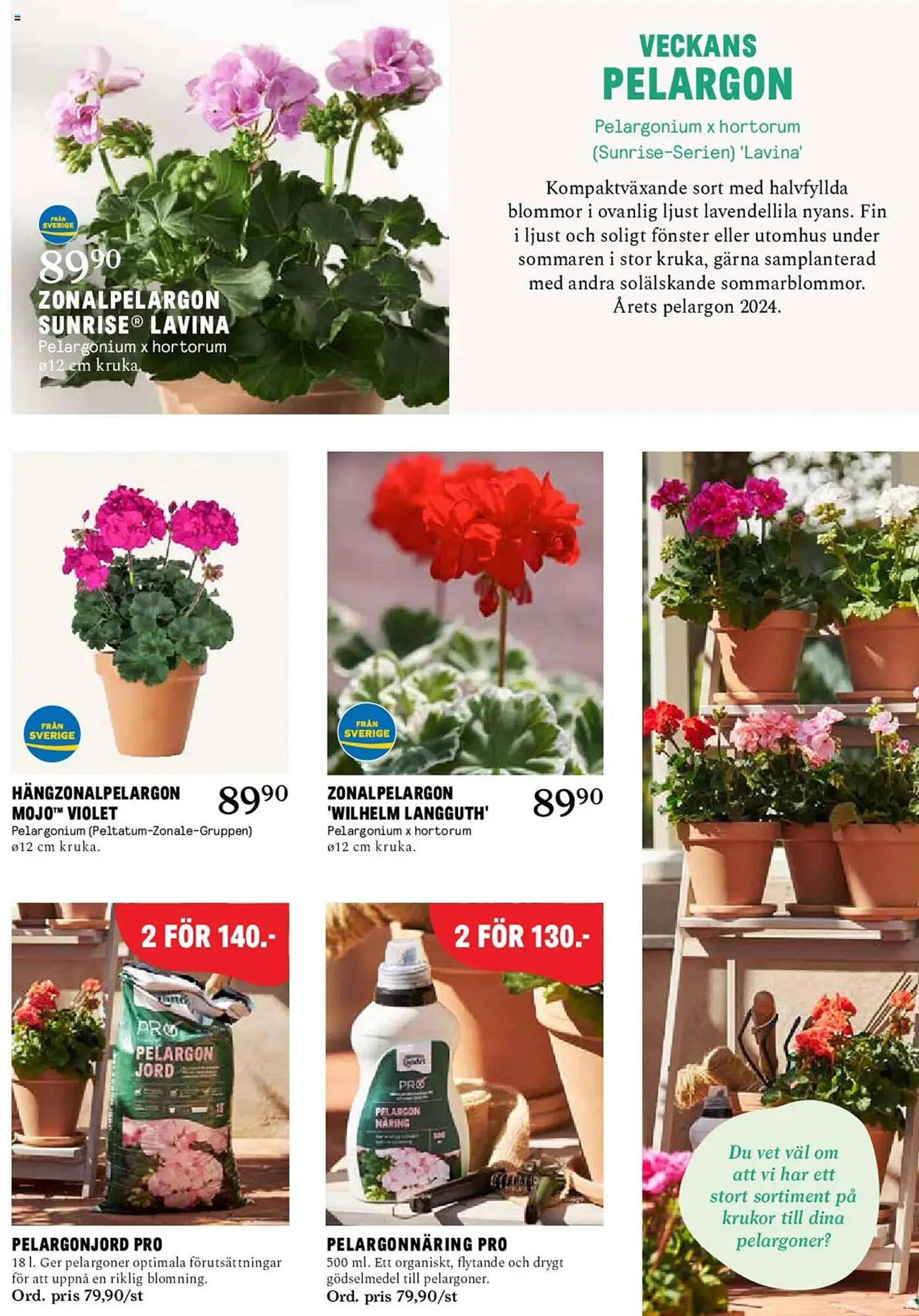 Blomsterlandet reklamblad från 24 mars till 30 mars 2025 - Reklamblad sidor 3