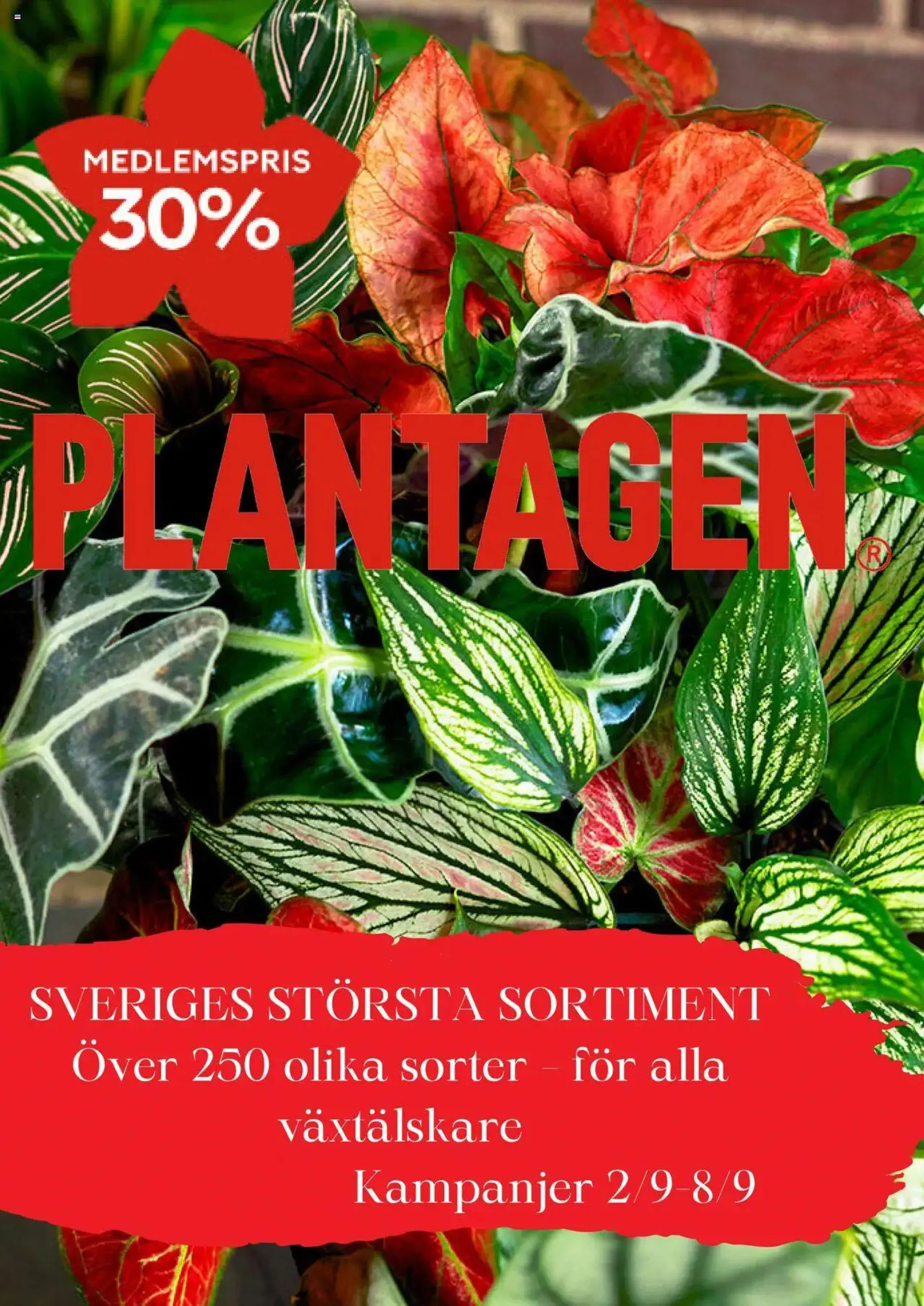 Plantagen - erbjudanden från 1 september till 31 december 2024 - Reklamblad sidor 1