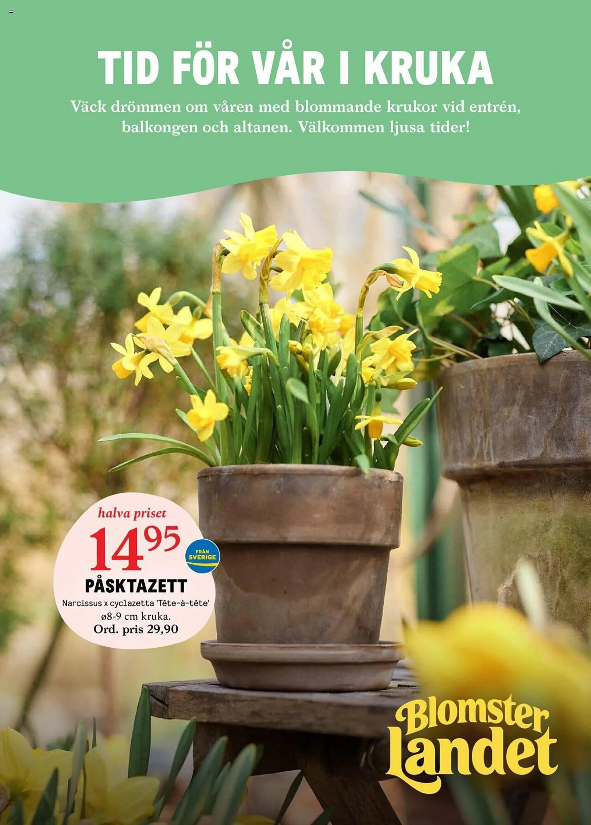 Blomsterlandet reklamblad - 26 februari 10 mars 2024
