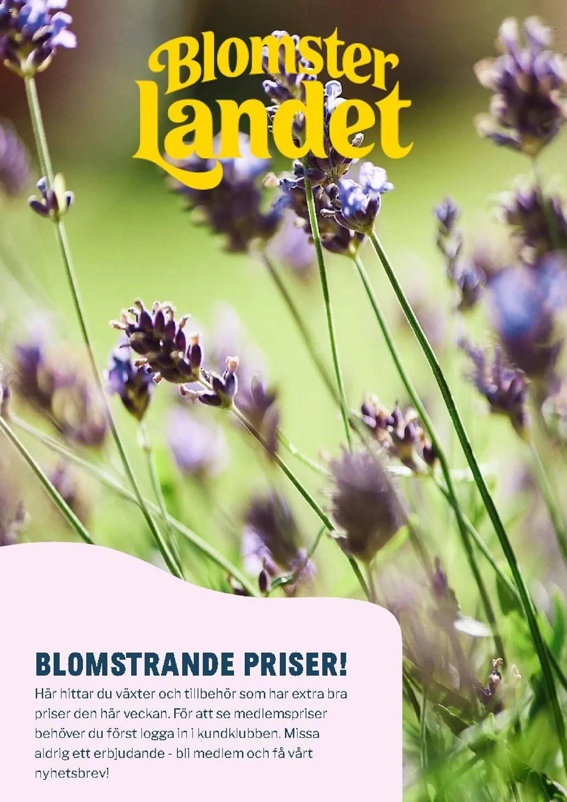 Blomsterlandet reklamblad - 1