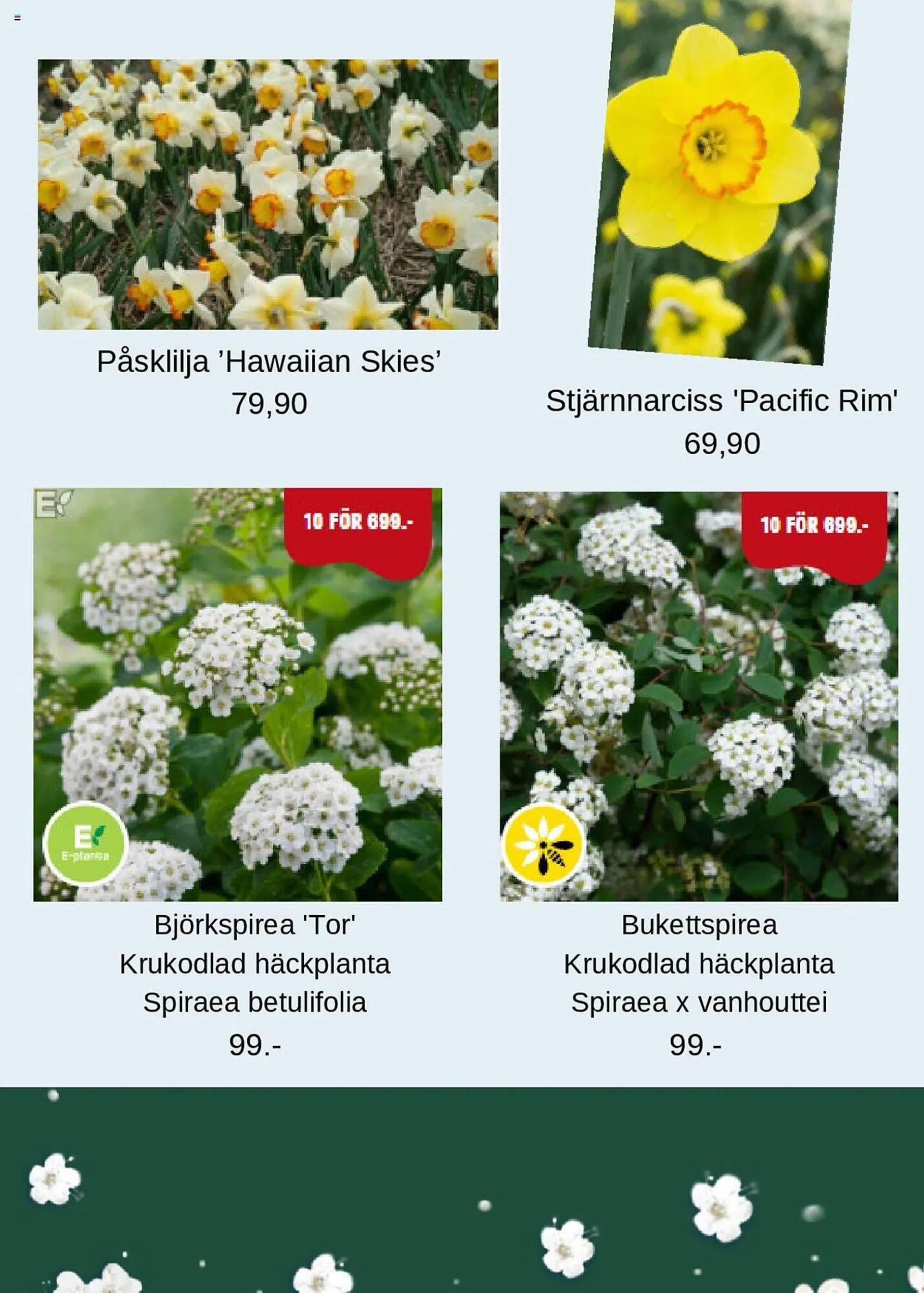 Blomsterlandet reklamblad från 30 september till 13 oktober 2024 - Reklamblad sidor 4