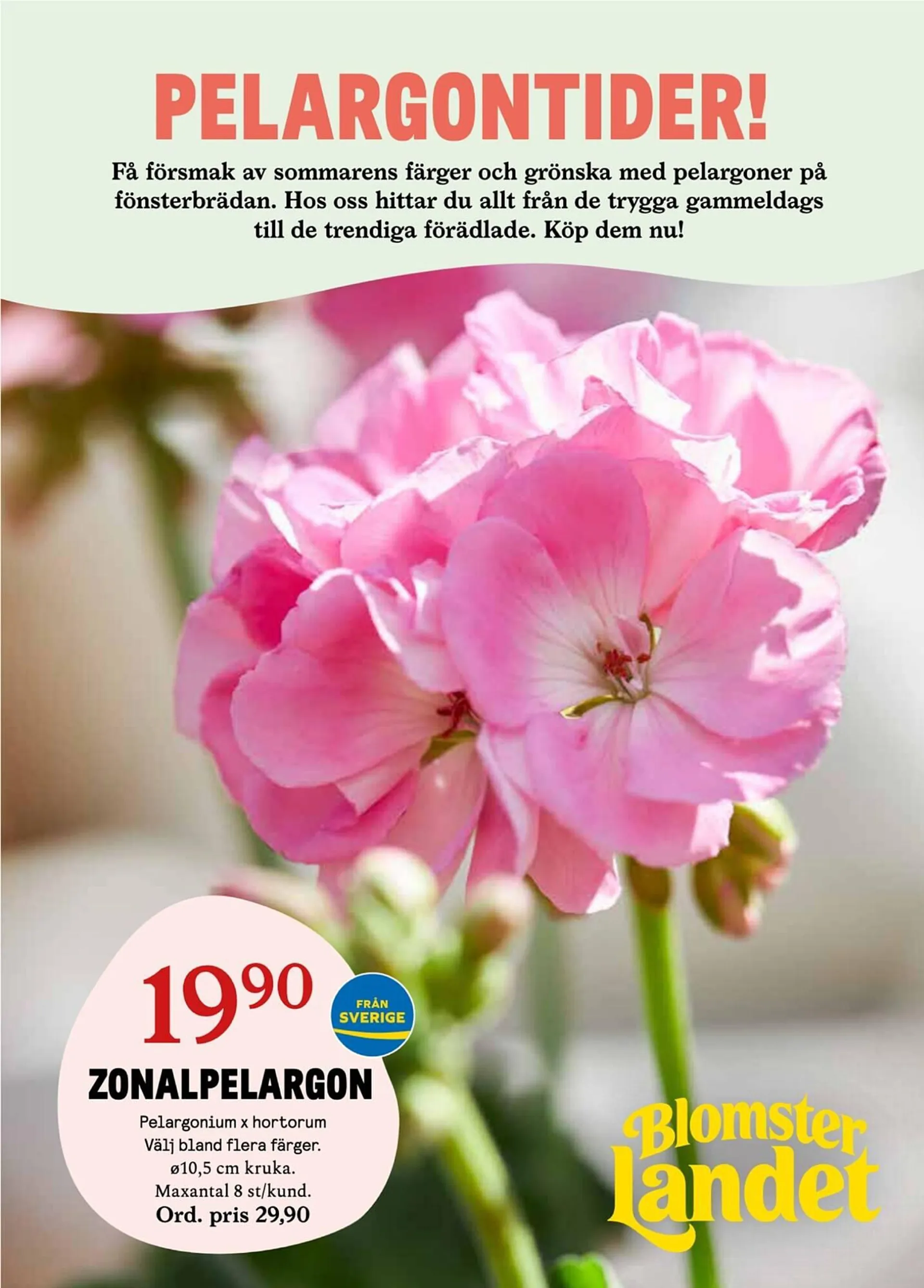Blomsterlandet reklamblad från 8 april till 14 april 2024 - Reklamblad sidor 