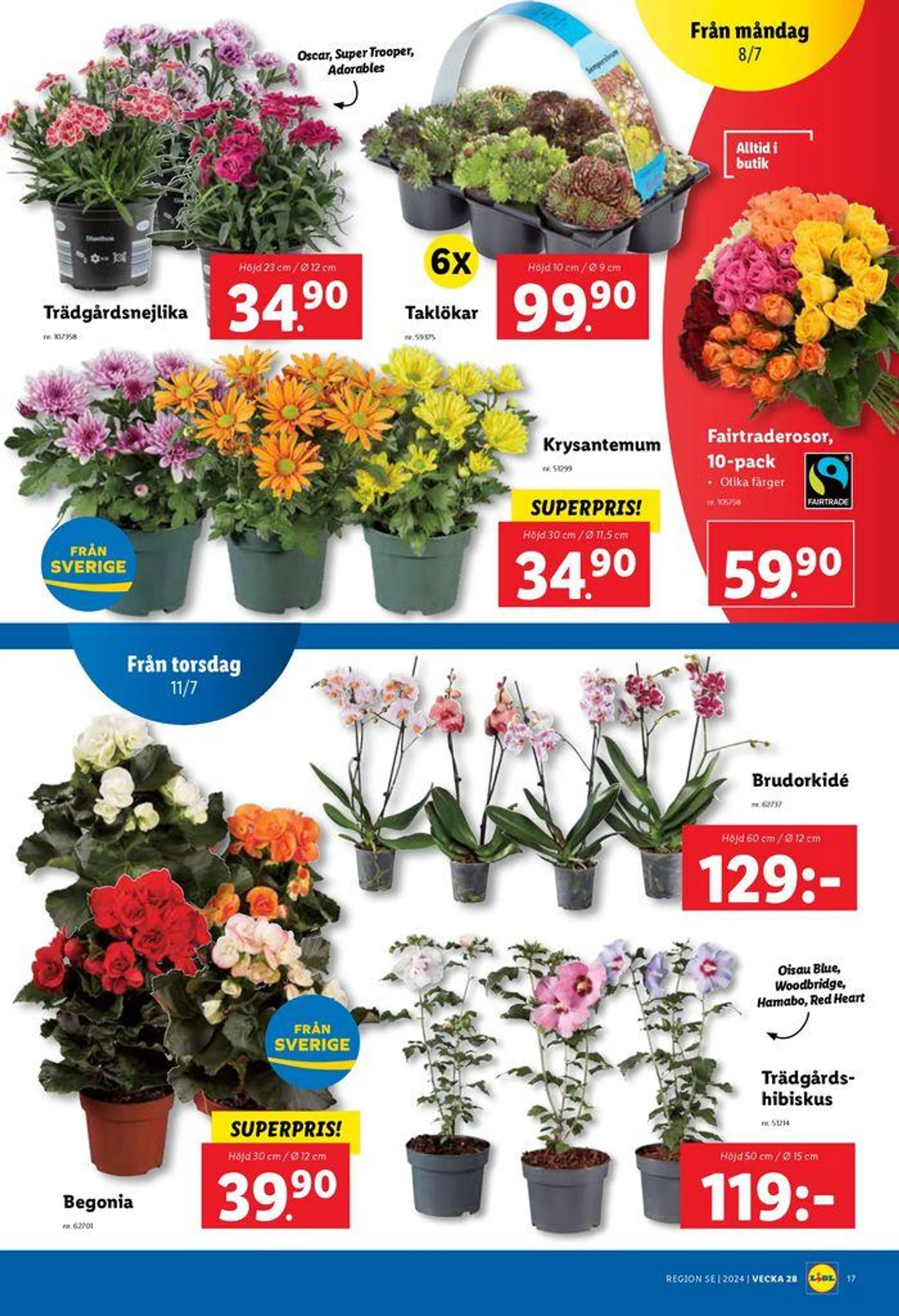 Fantastiskt erbjudande för alla kunder från 8 juli till 9 juni 2024 - Reklamblad sidor 22