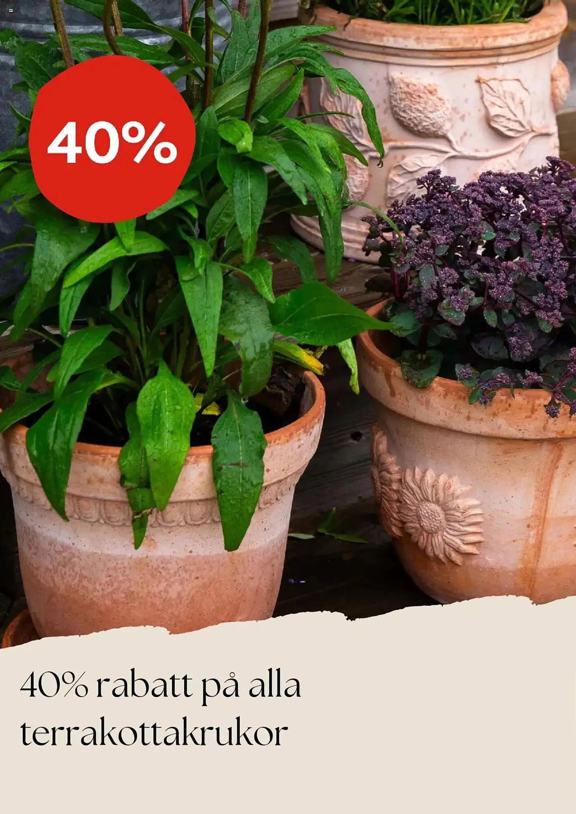 Plantagen reklamblad från 1 mars till 31 mars 2025 - Reklamblad sidor 3