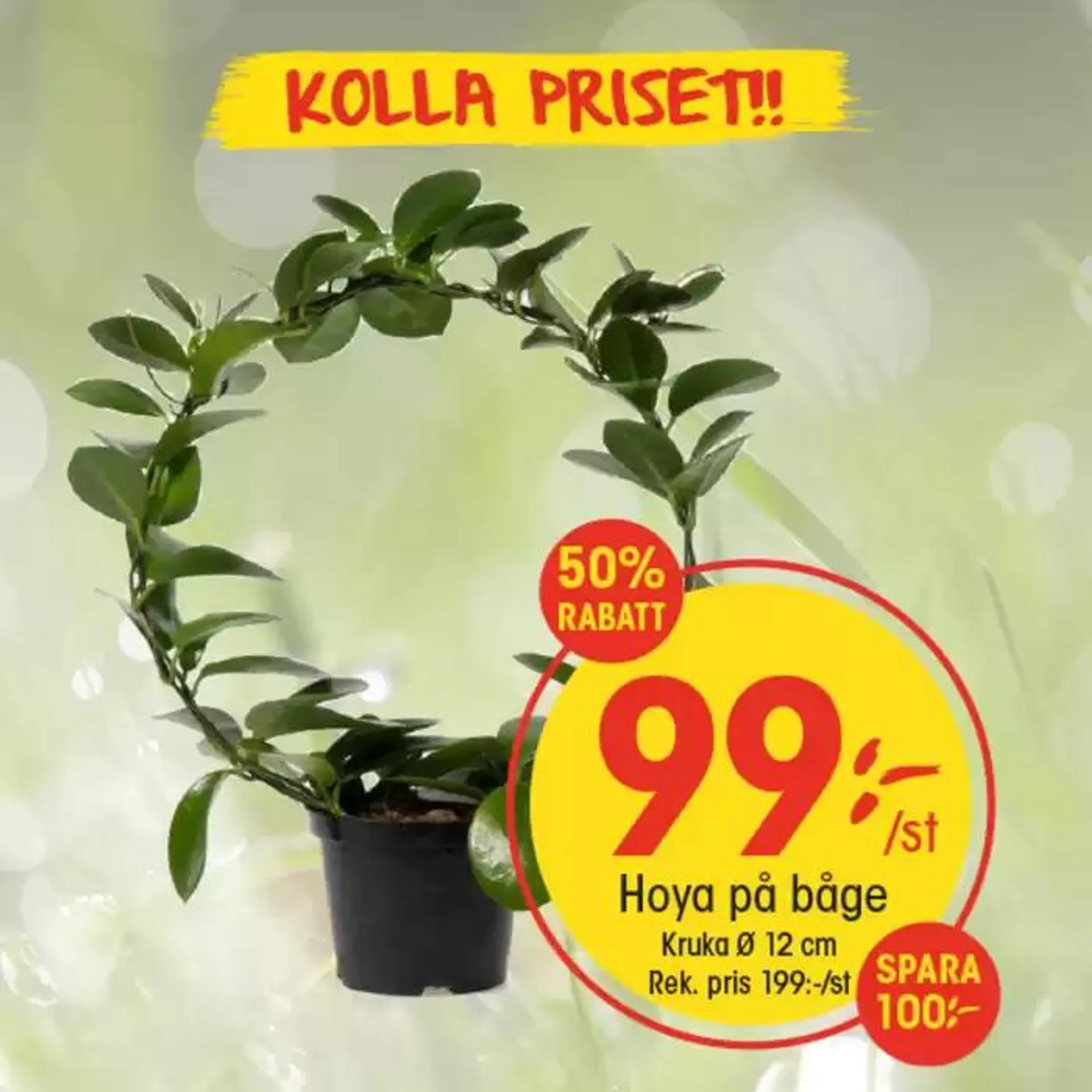 EKO reklamblad från 20 januari till 27 januari 2025 - Reklamblad sidor 2