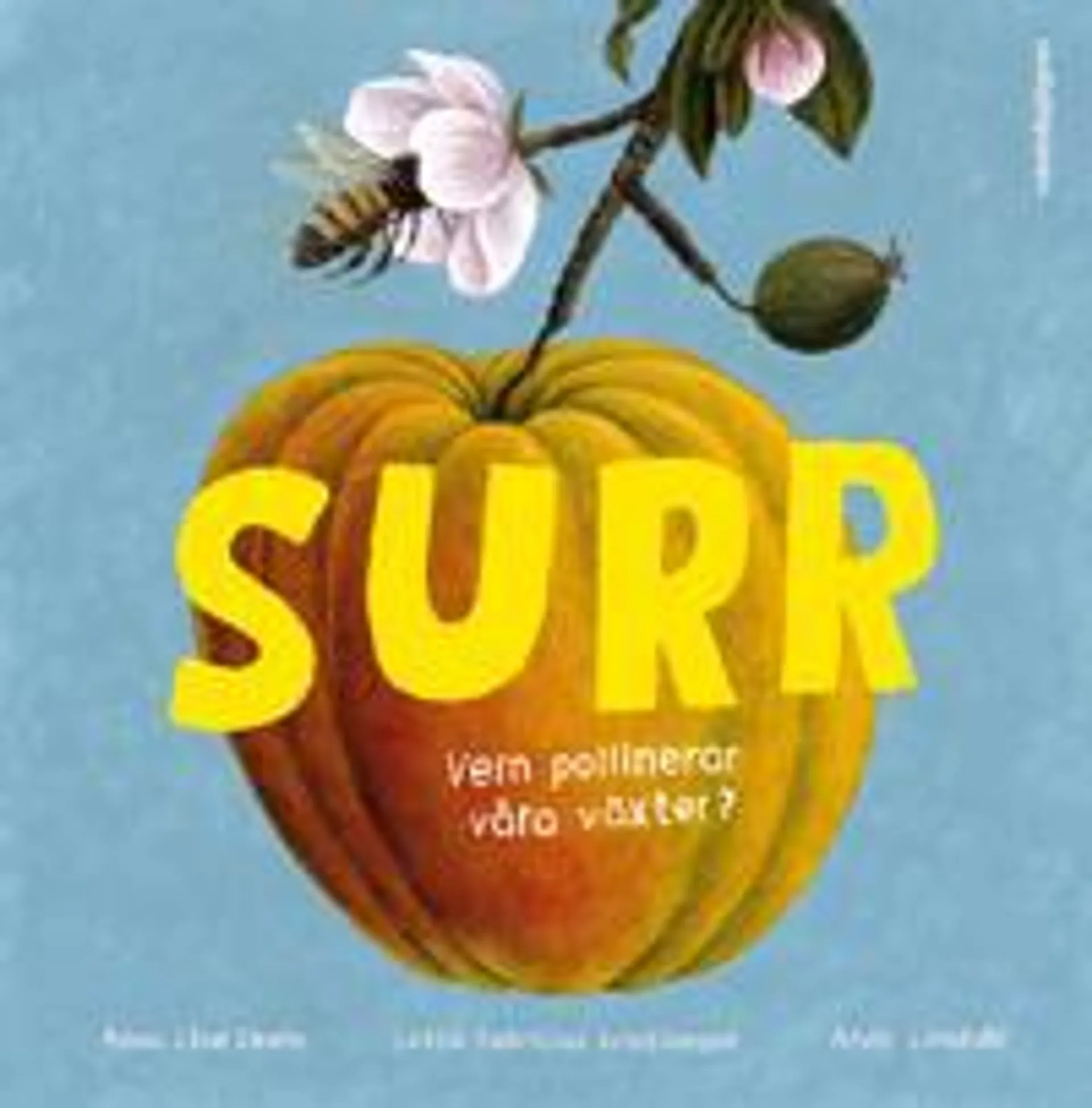 Surr : Vem pollinerar våra växter?