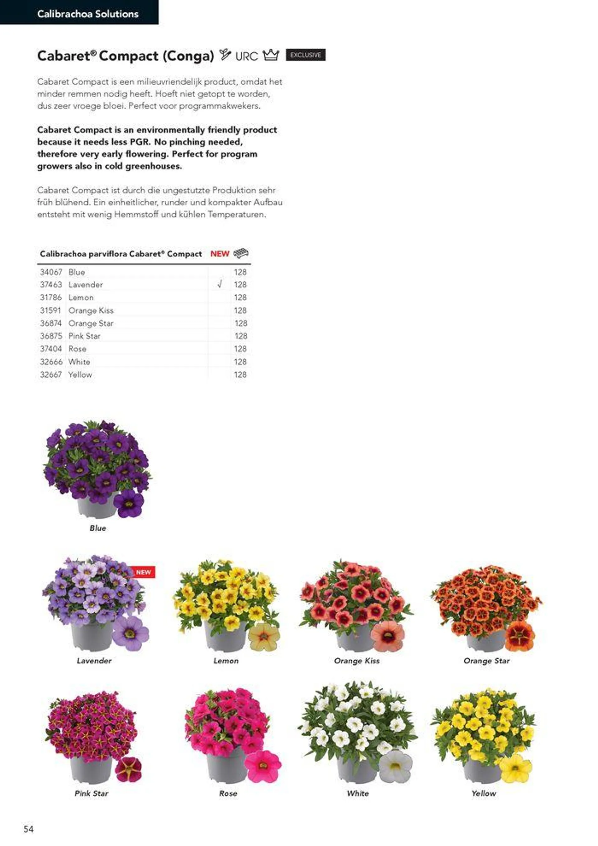 Annuals 2024 . från 15 februari till 31 december 2024 - Reklamblad sidor 58