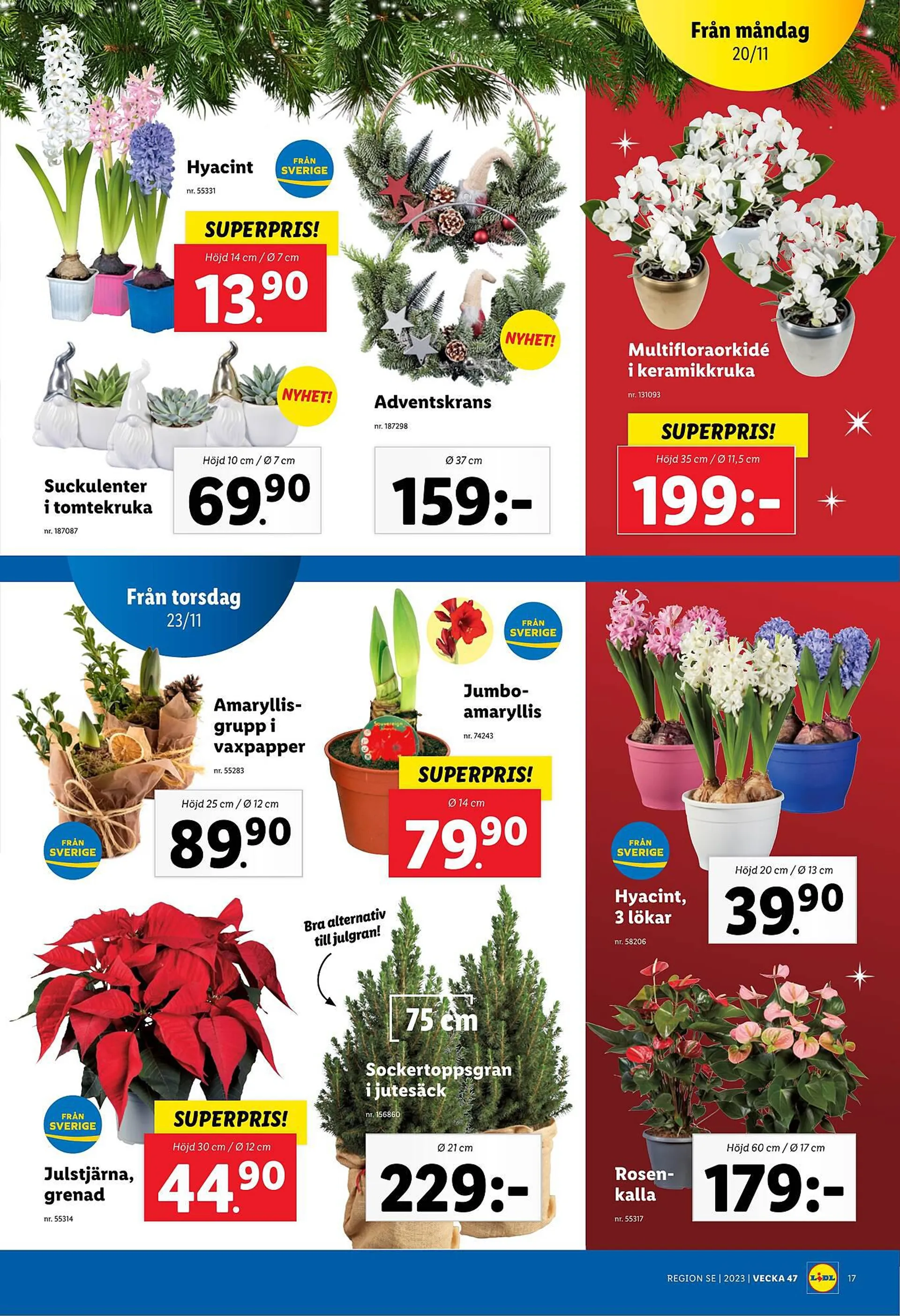 Lidl reklamblad från 20 november till 26 november 2023 - Reklamblad sidor 21